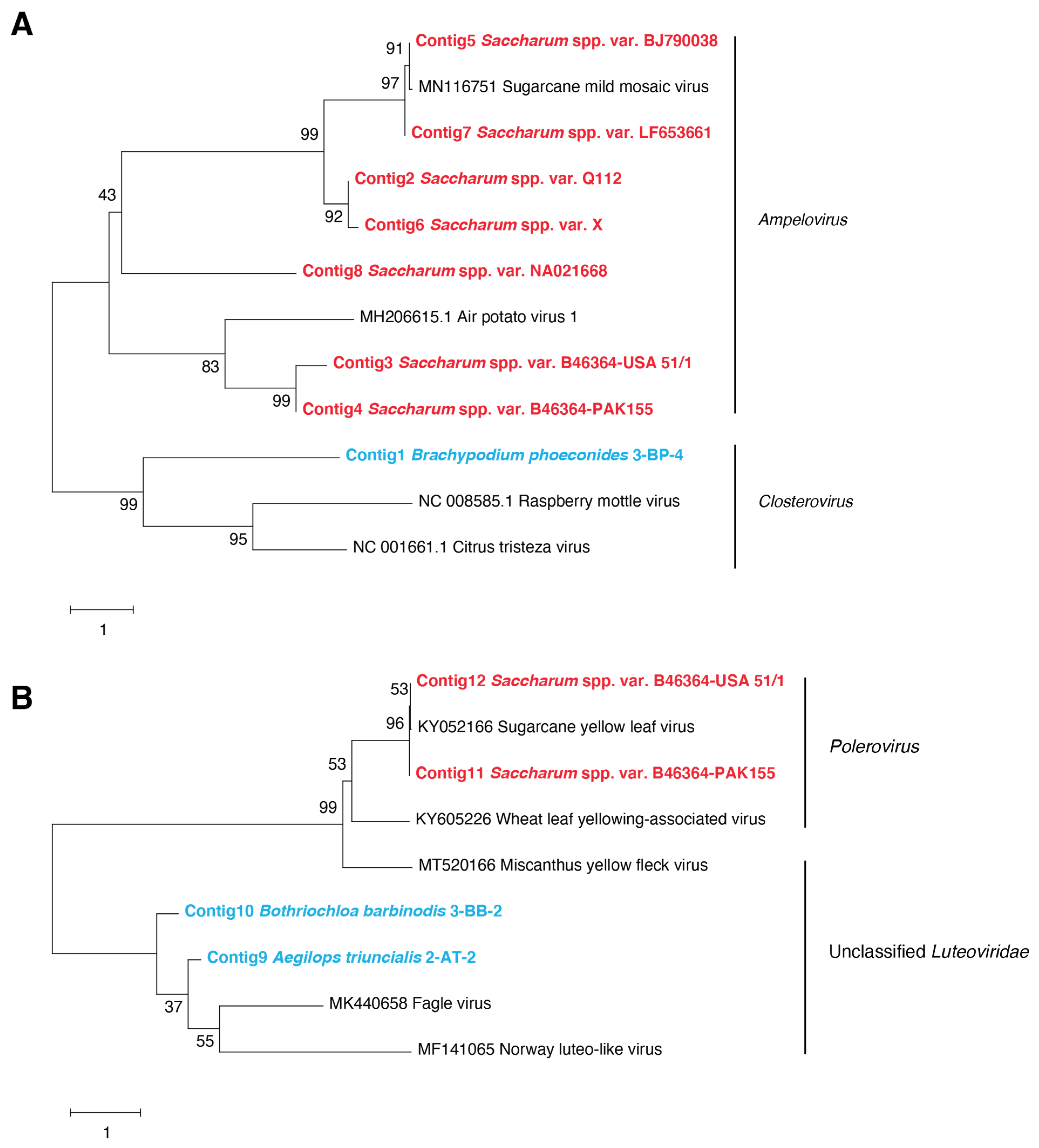 Viruses 13 00922 g002