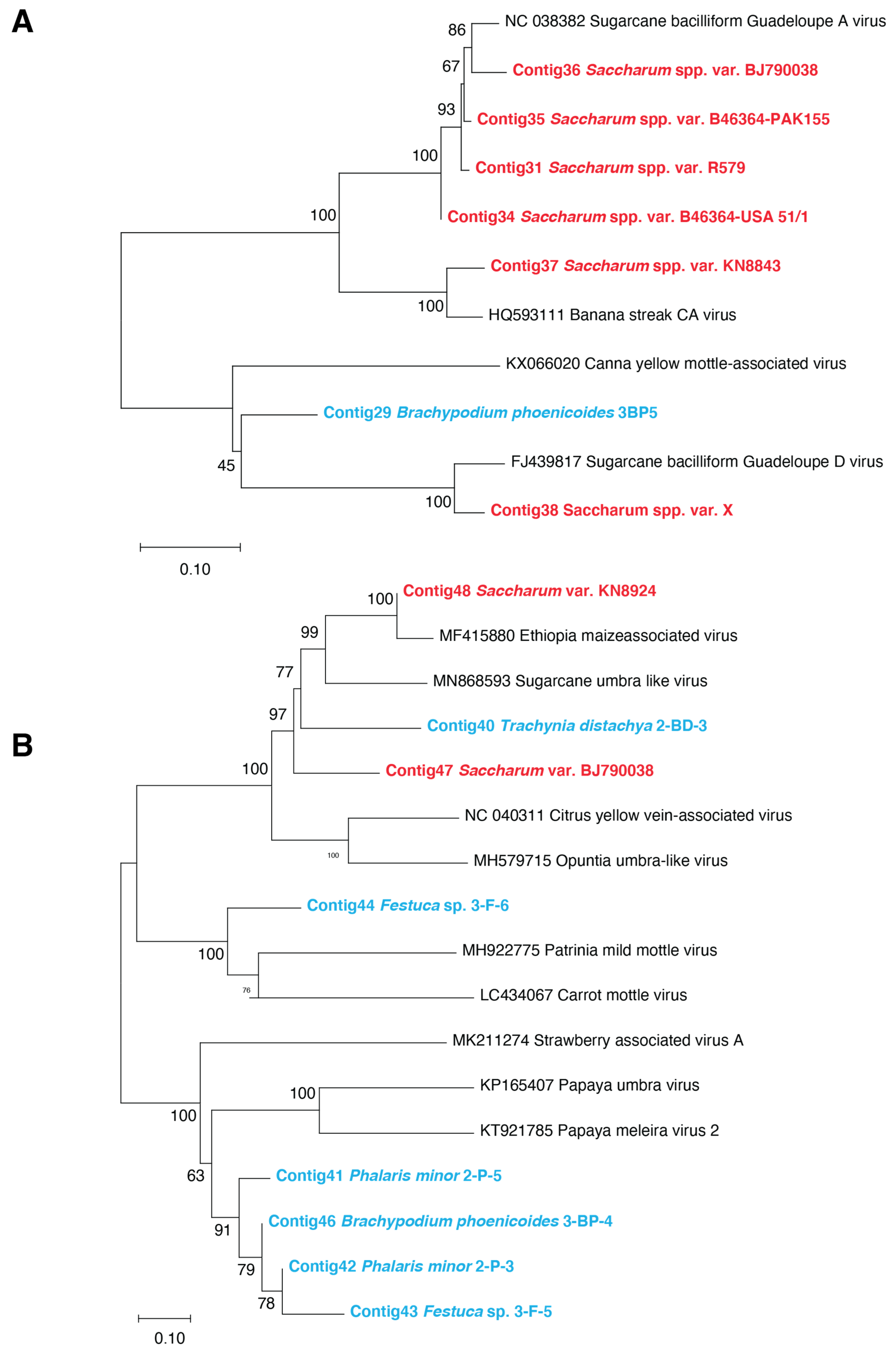Viruses 13 00922 g004