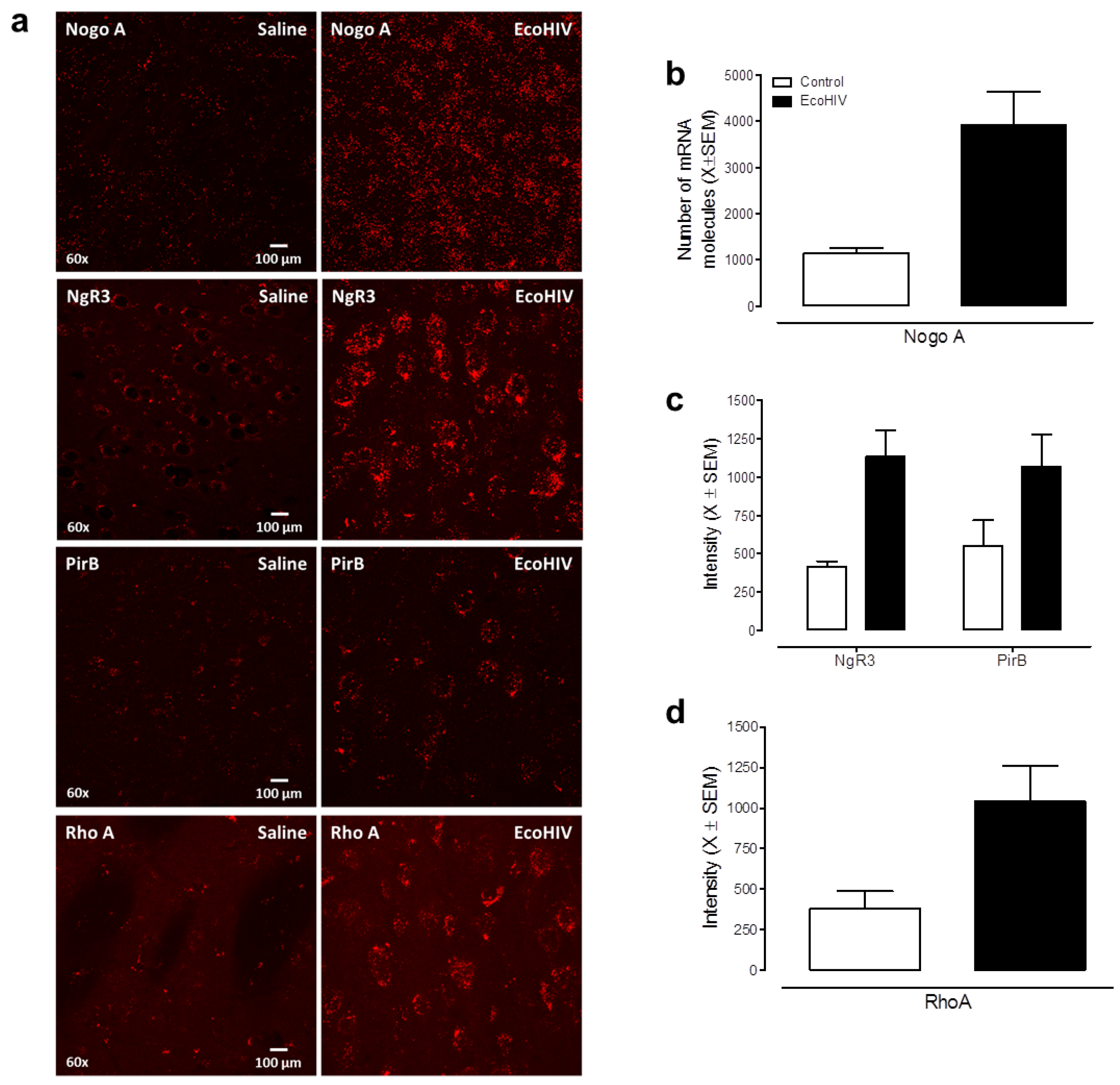 Viruses 13 00924 g009