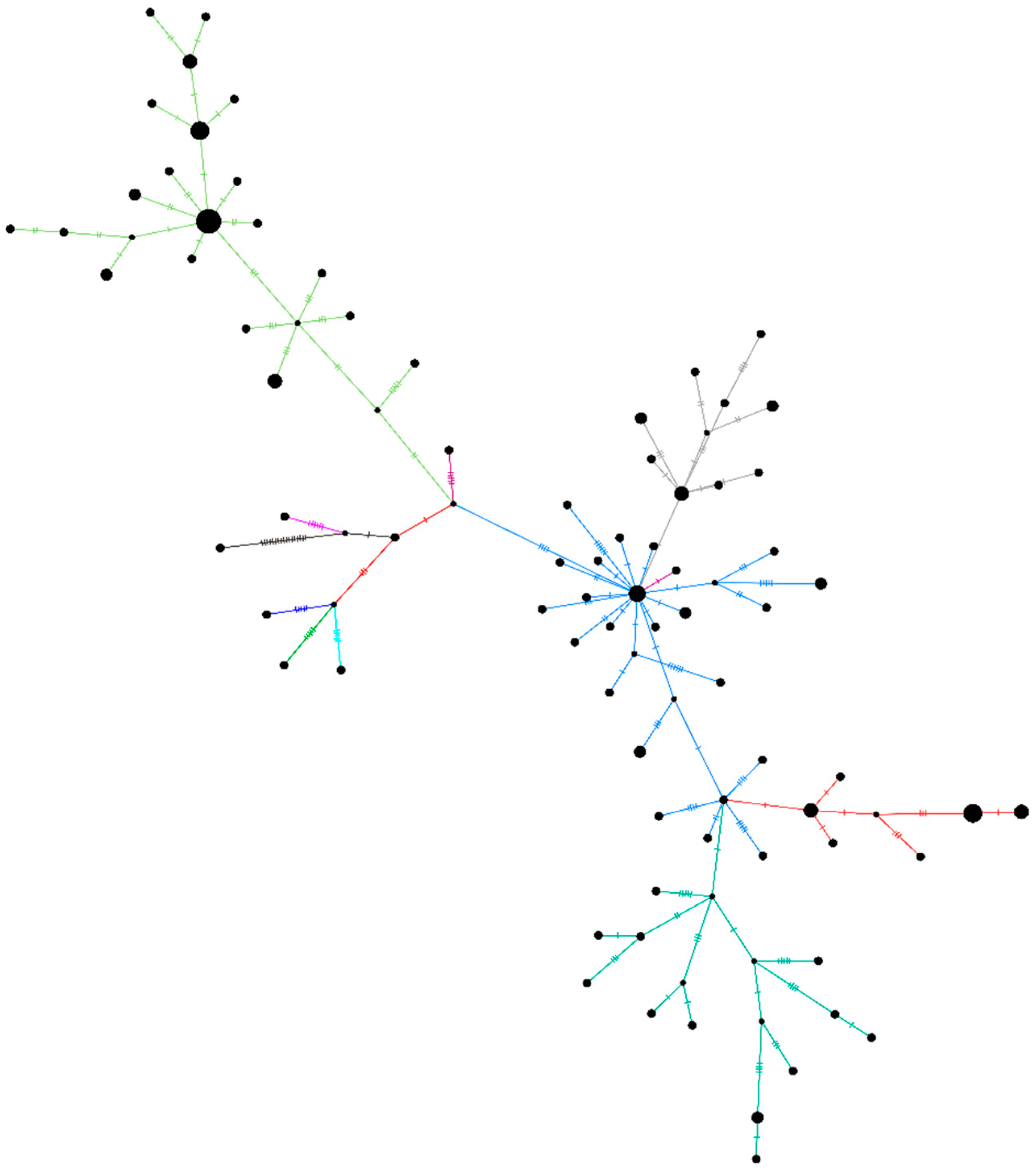 Viruses 13 00925 g004