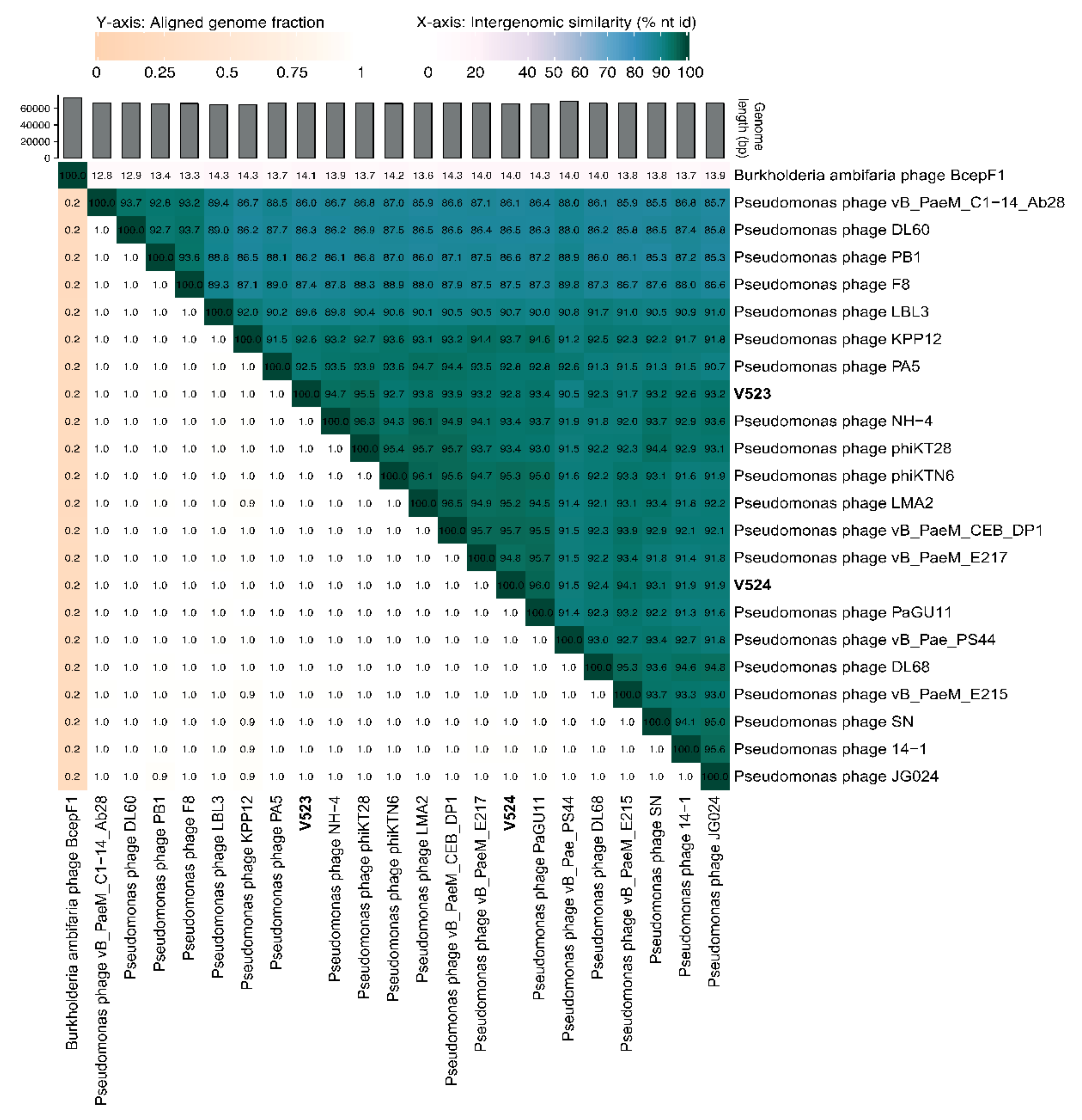 Viruses 13 00928 g004