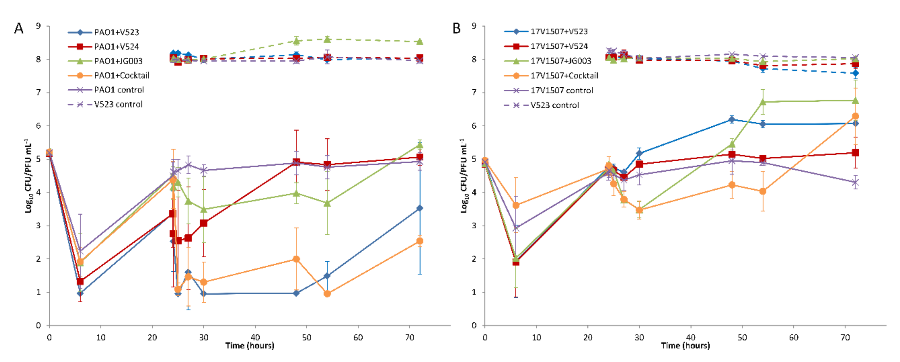 Viruses 13 00928 g006