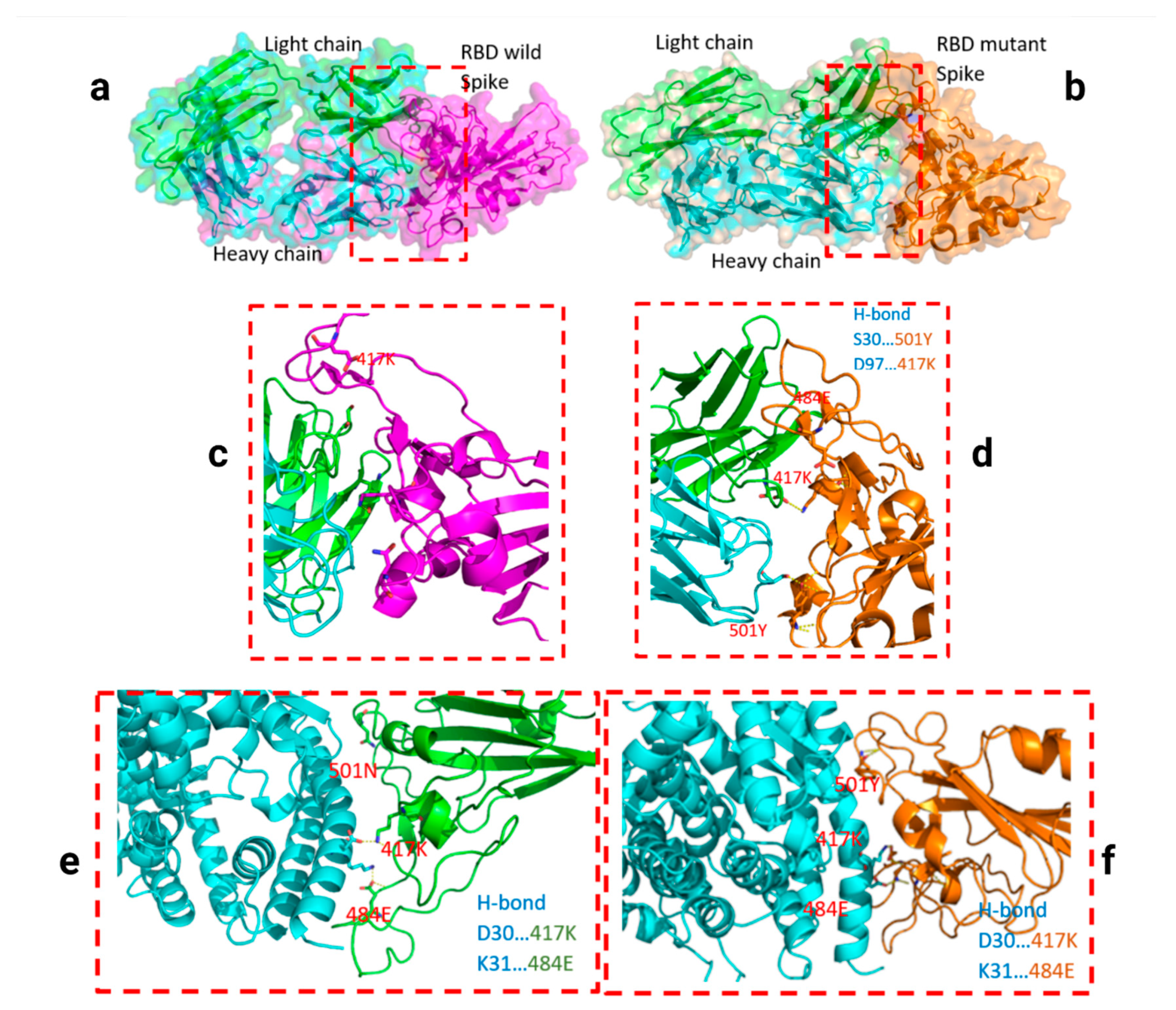 Viruses 13 00930 g004 Viruses 13 00930 g004