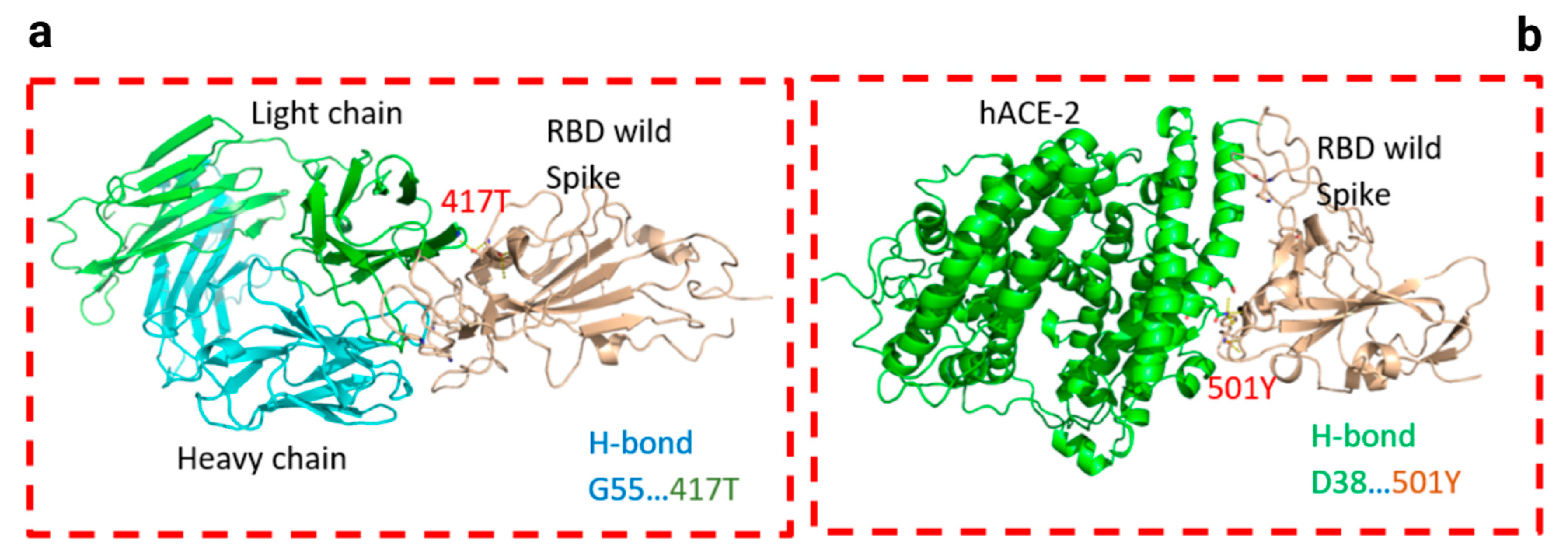 Viruses 13 00930 g006 Viruses 13 00930 g006