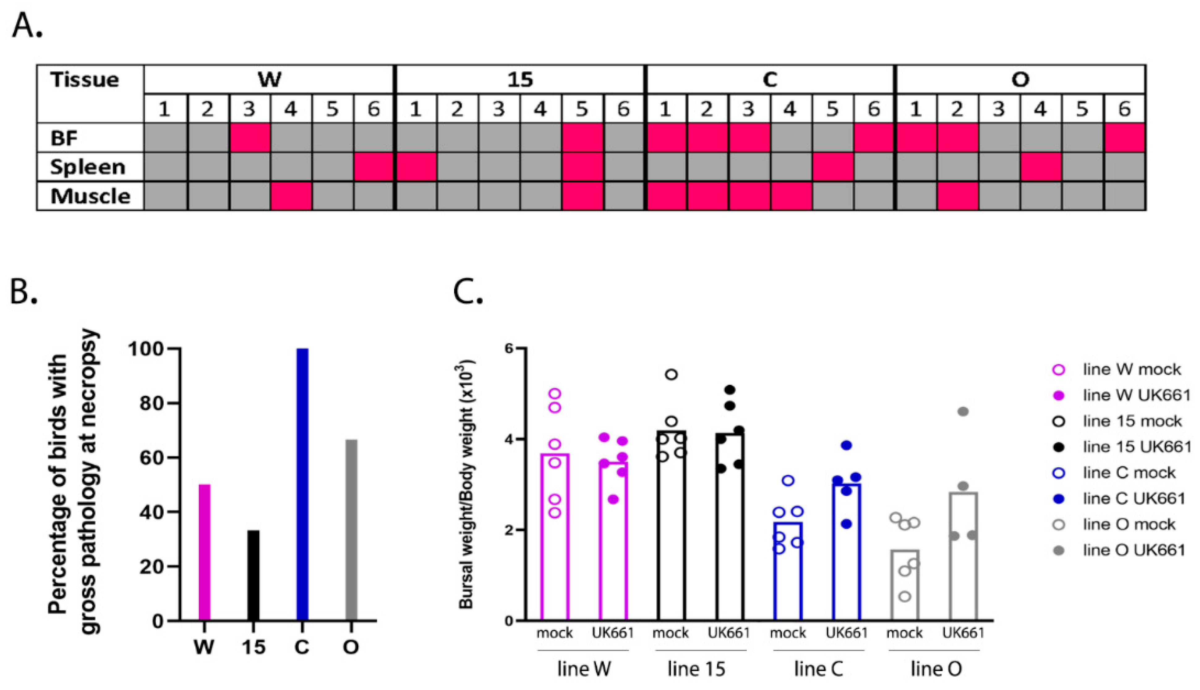 Viruses 13 00933 g002 Viruses 13 00933 g002
