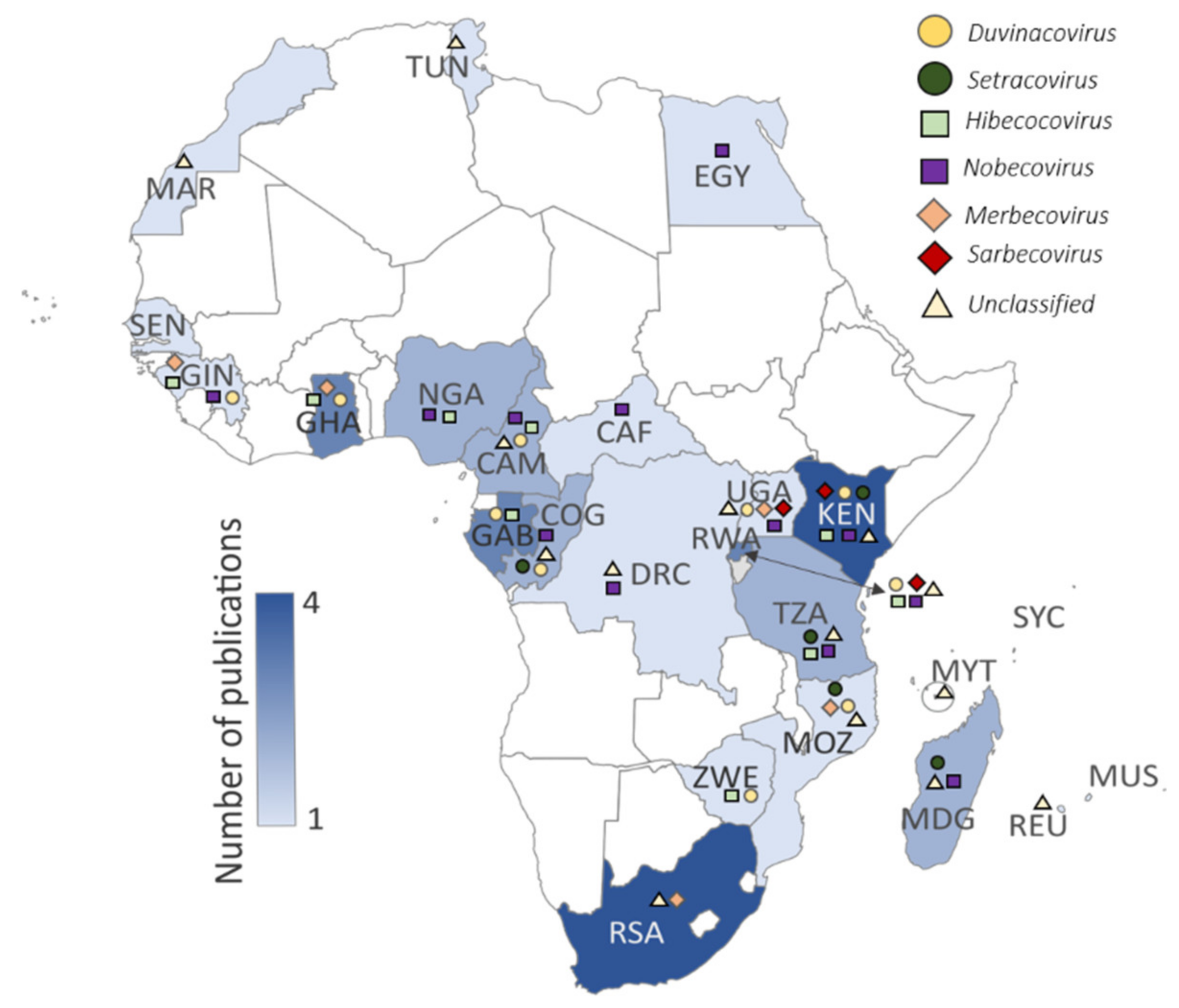 Viruses 13 00936 g002