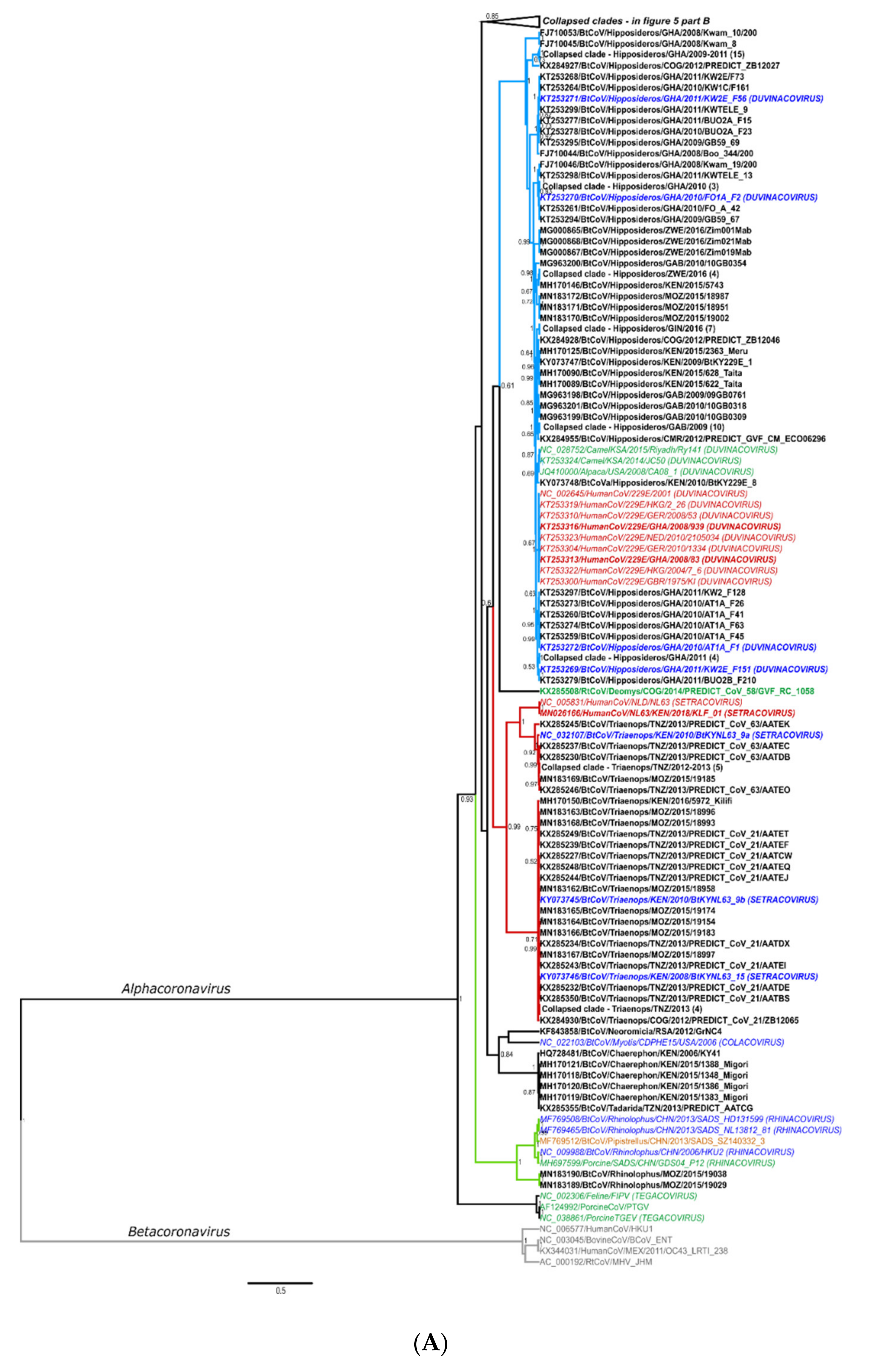 Viruses 13 00936 g005a