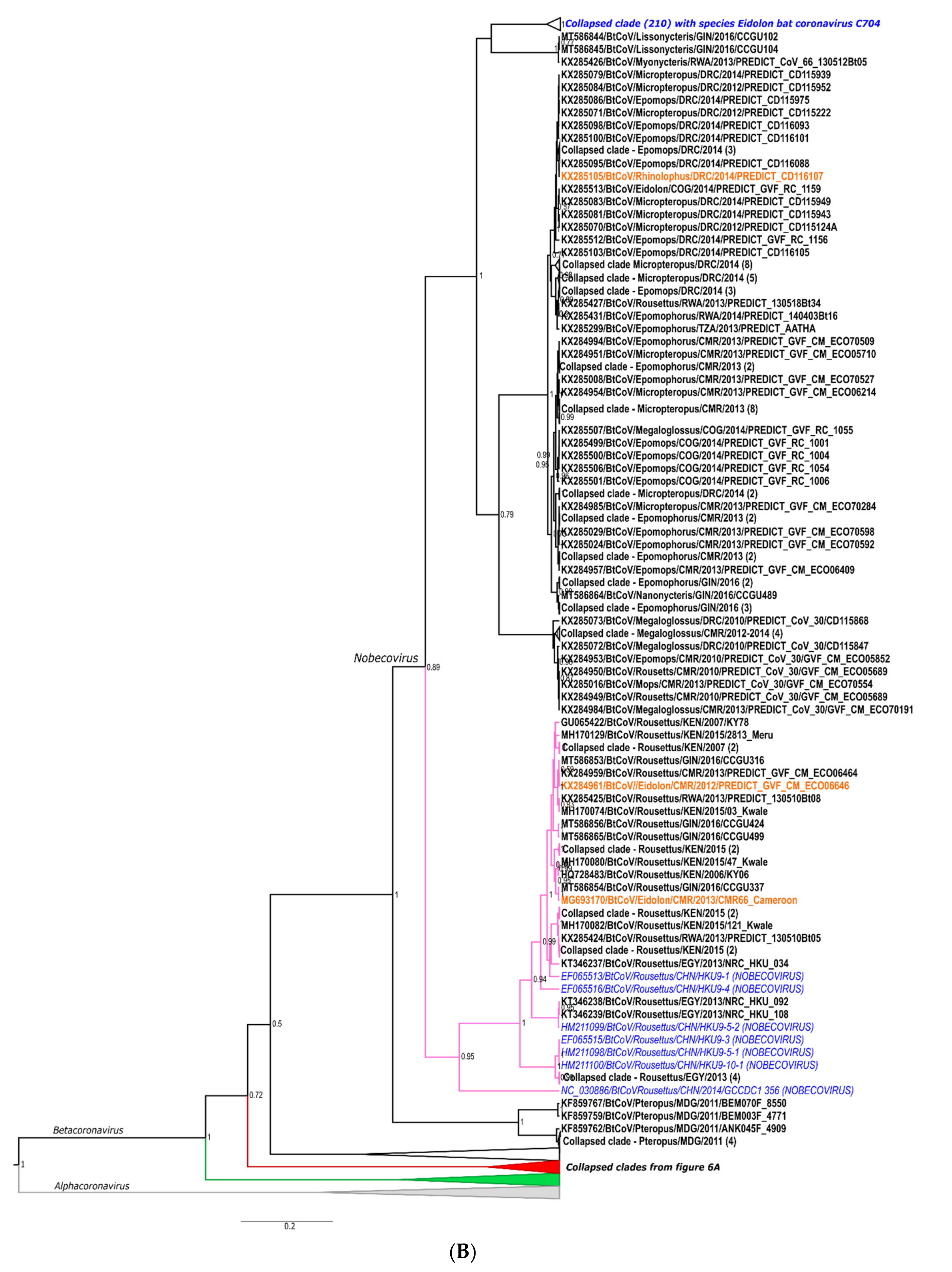 Viruses 13 00936 g006b