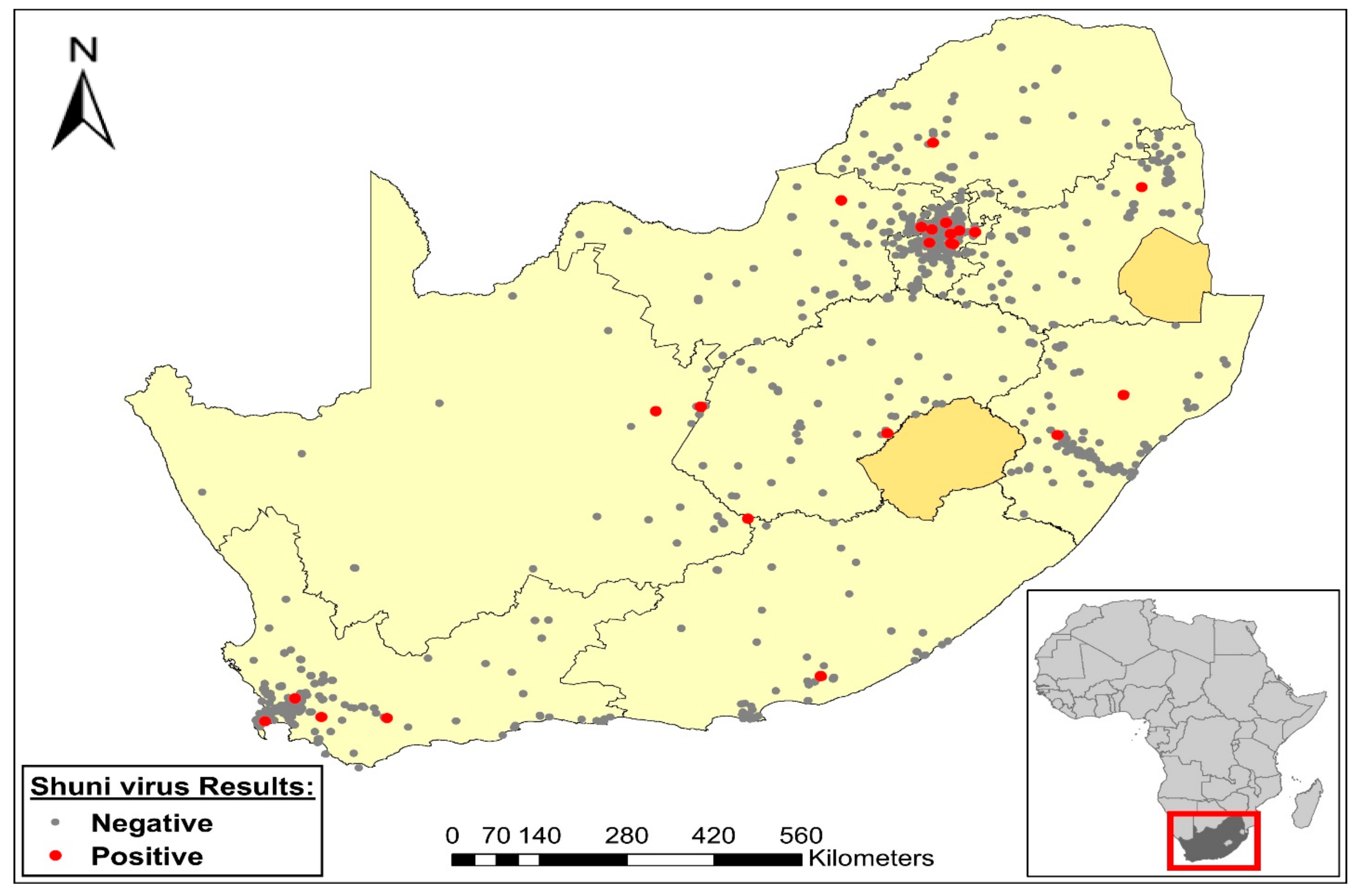 Viruses 13 00937 g002