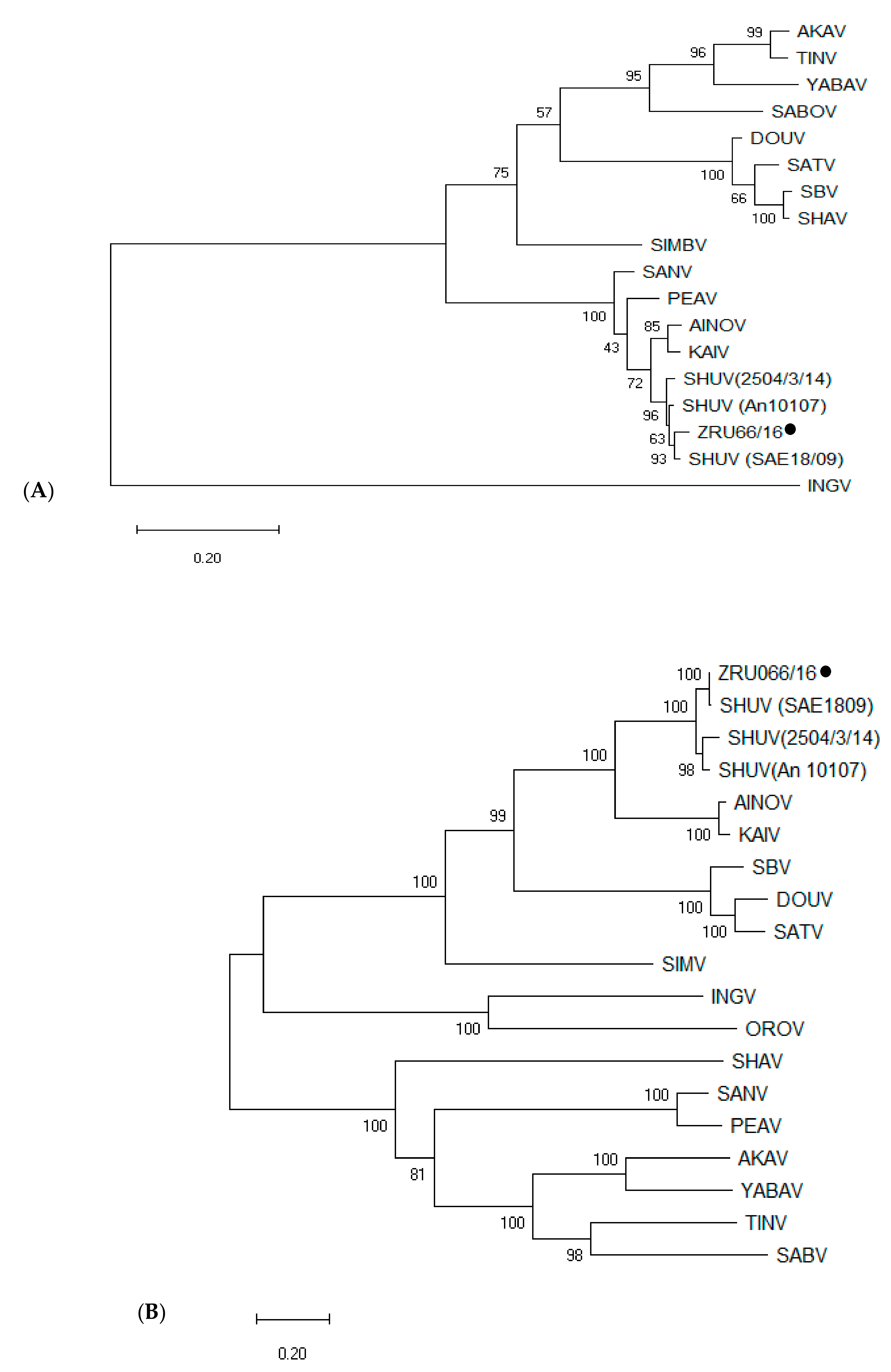 Viruses 13 00937 g004a
