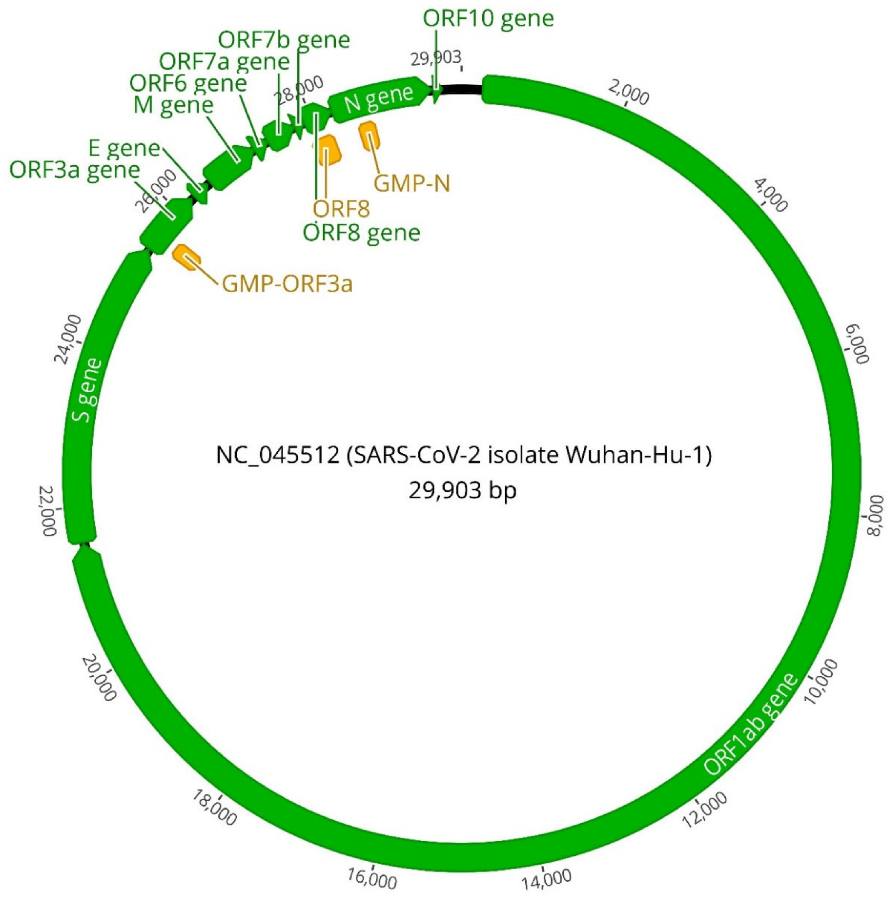 Viruses 13 00940 g001 Viruses 13 00940 g001