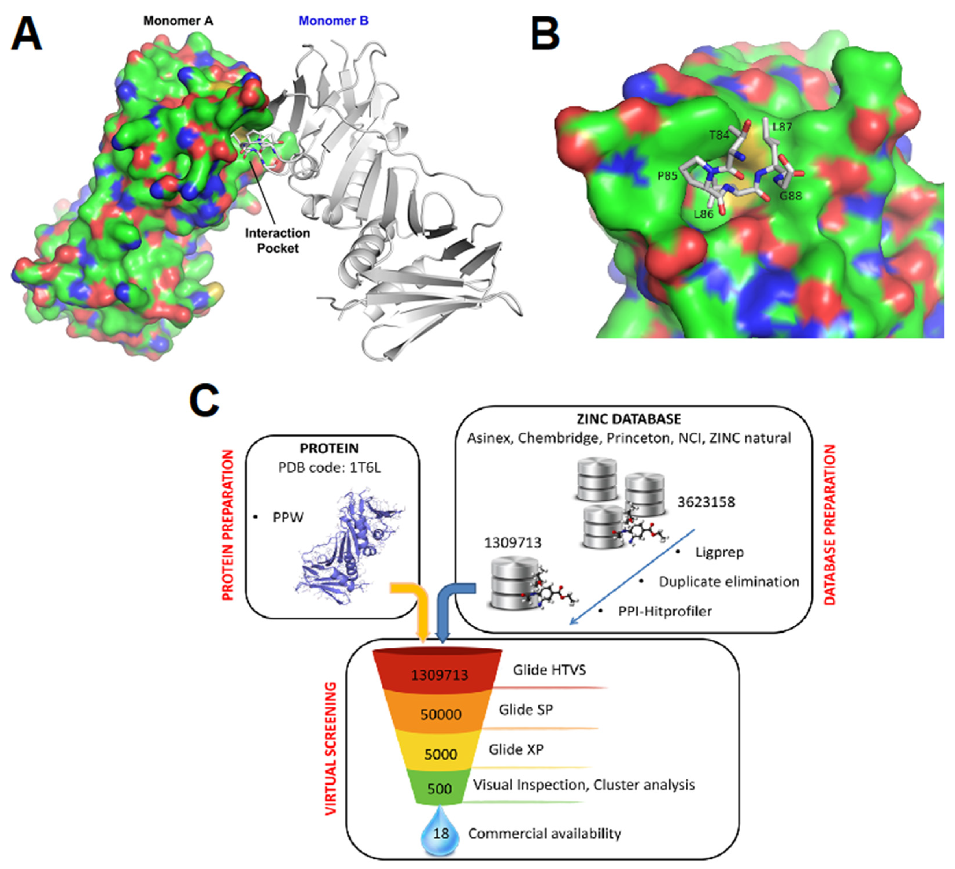 Viruses 13 00941 g001 Viruses 13 00941 g001
