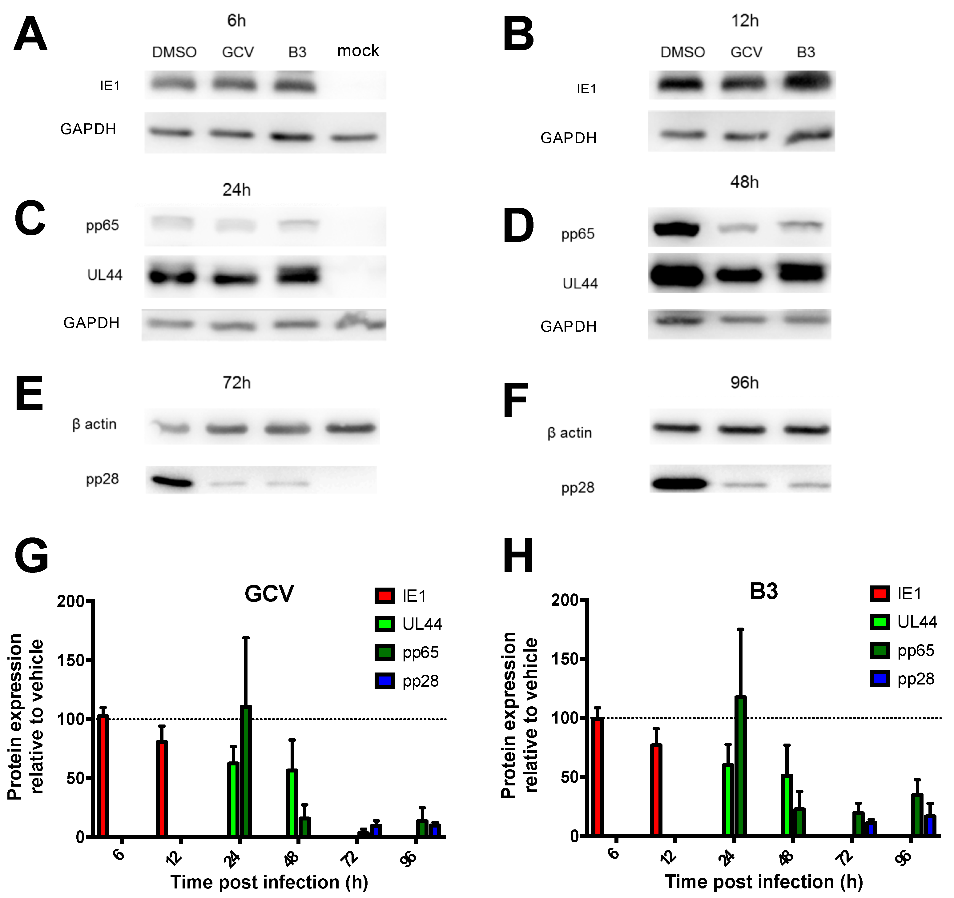 Viruses 13 00941 g007 Viruses 13 00941 g007