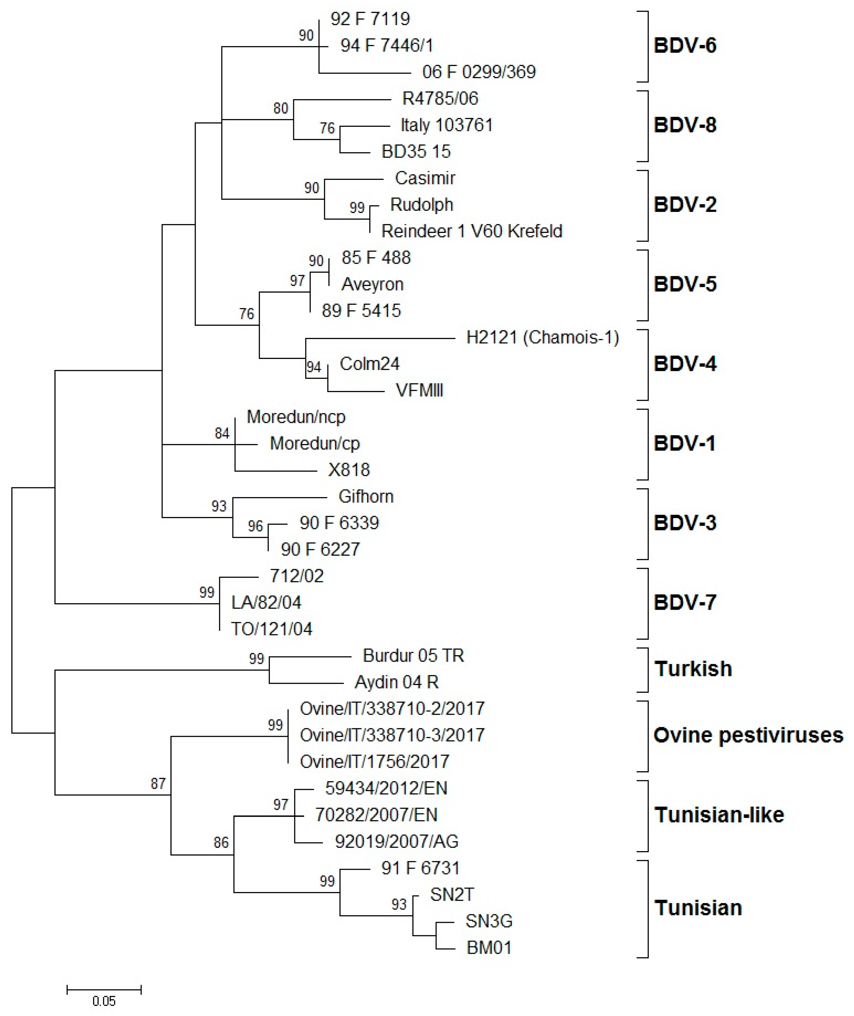Viruses 13 00950 g001 Viruses 13 00950 g001