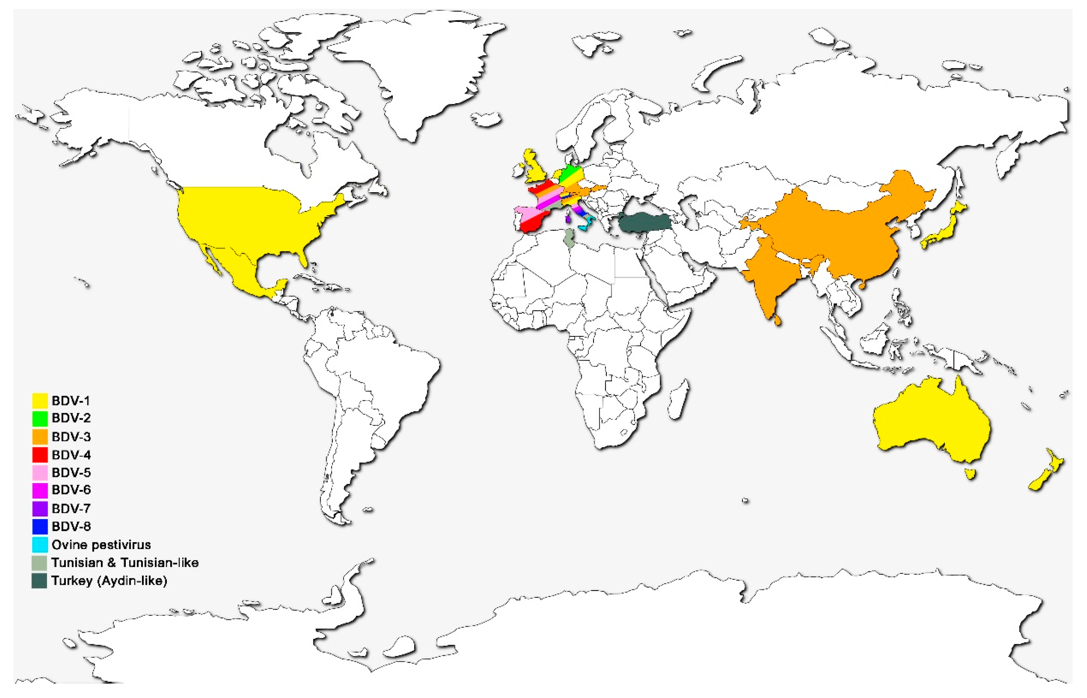 Viruses 13 00950 g002 Viruses 13 00950 g002