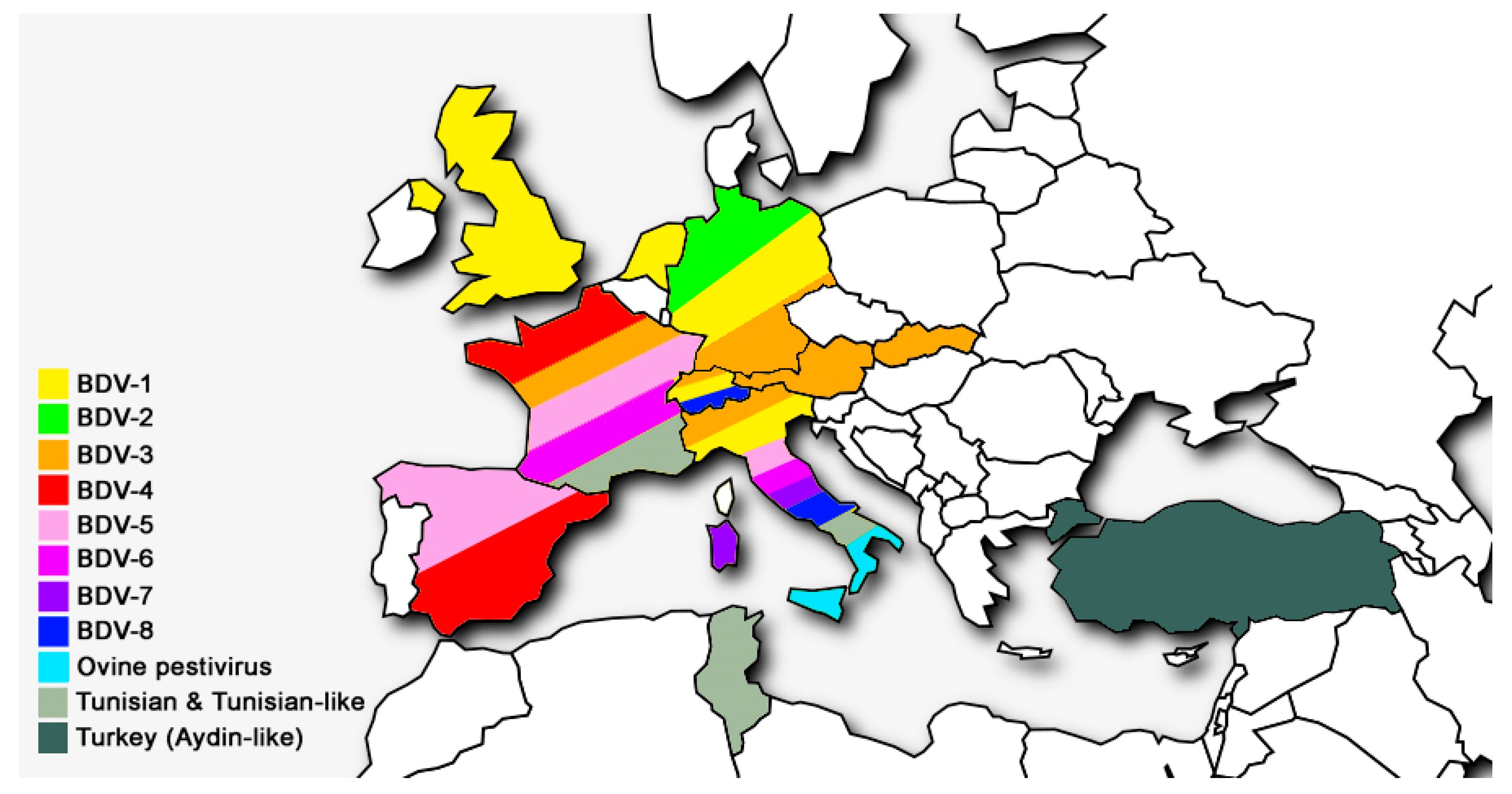 Viruses 13 00950 g003 Viruses 13 00950 g003