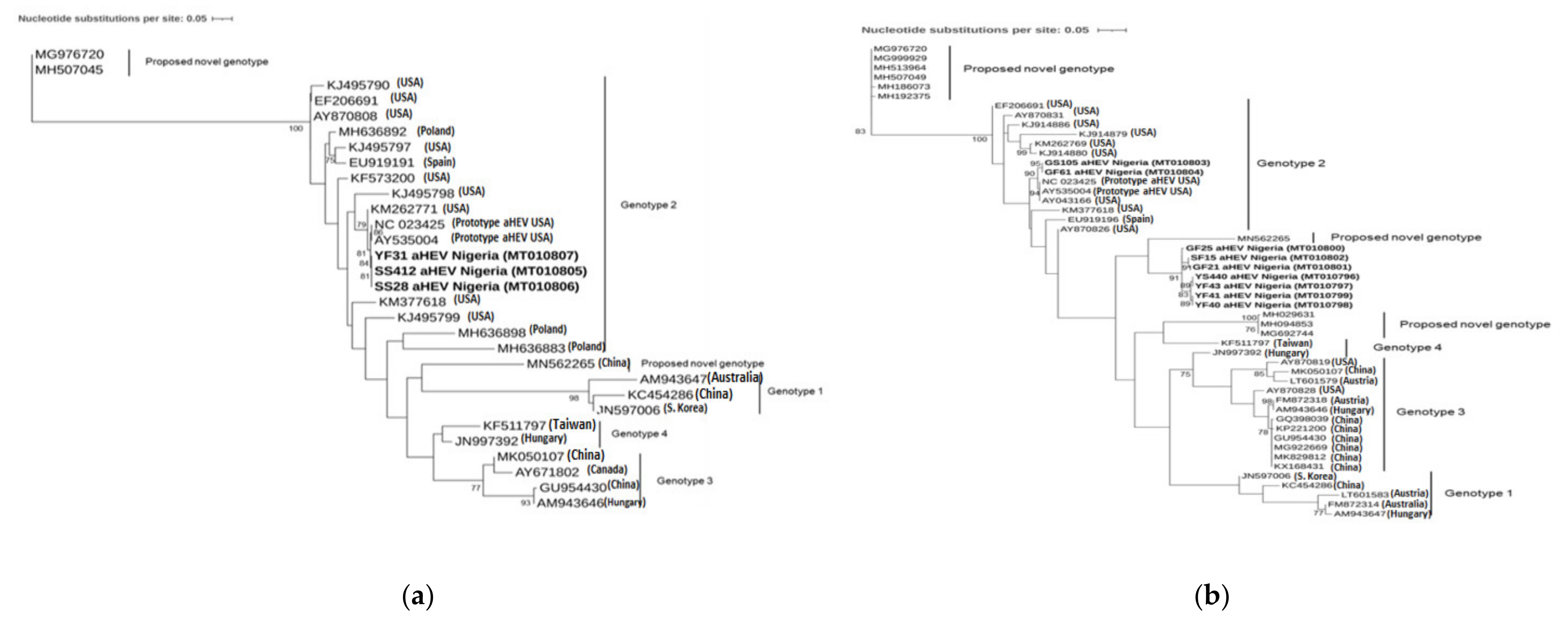 Viruses 13 00954 g001