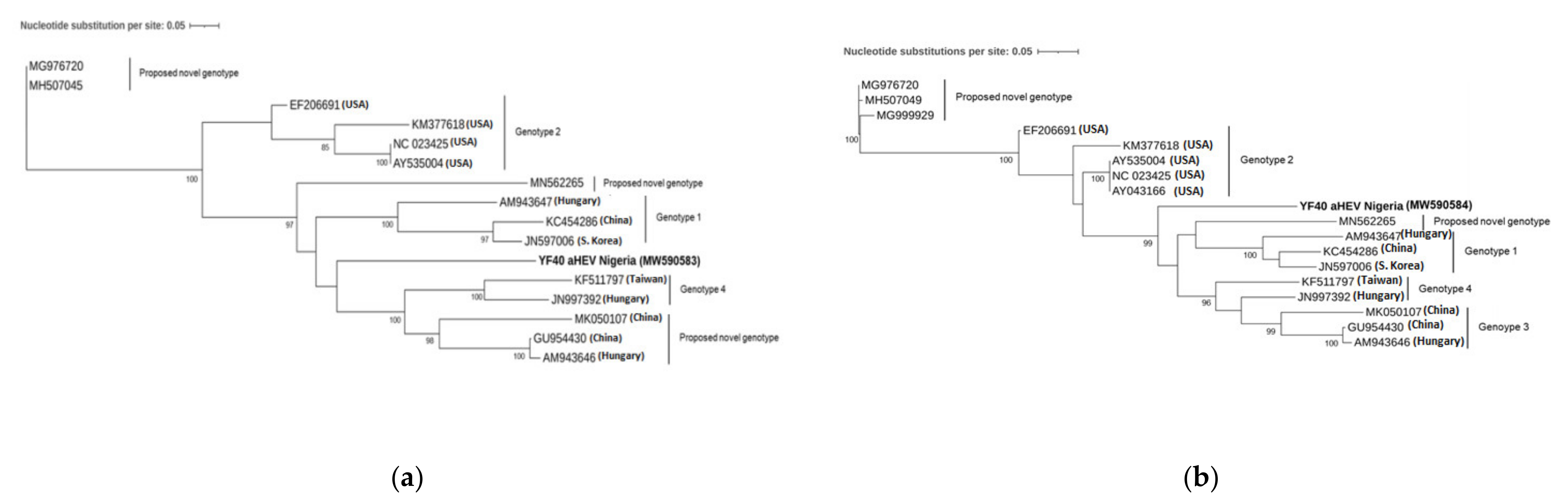 Viruses 13 00954 g002