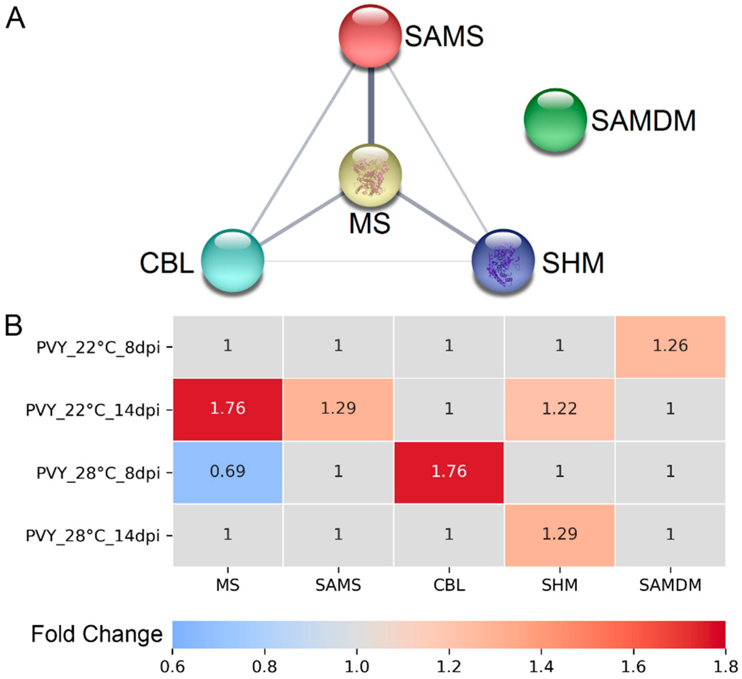 Viruses 13 00955 g002
