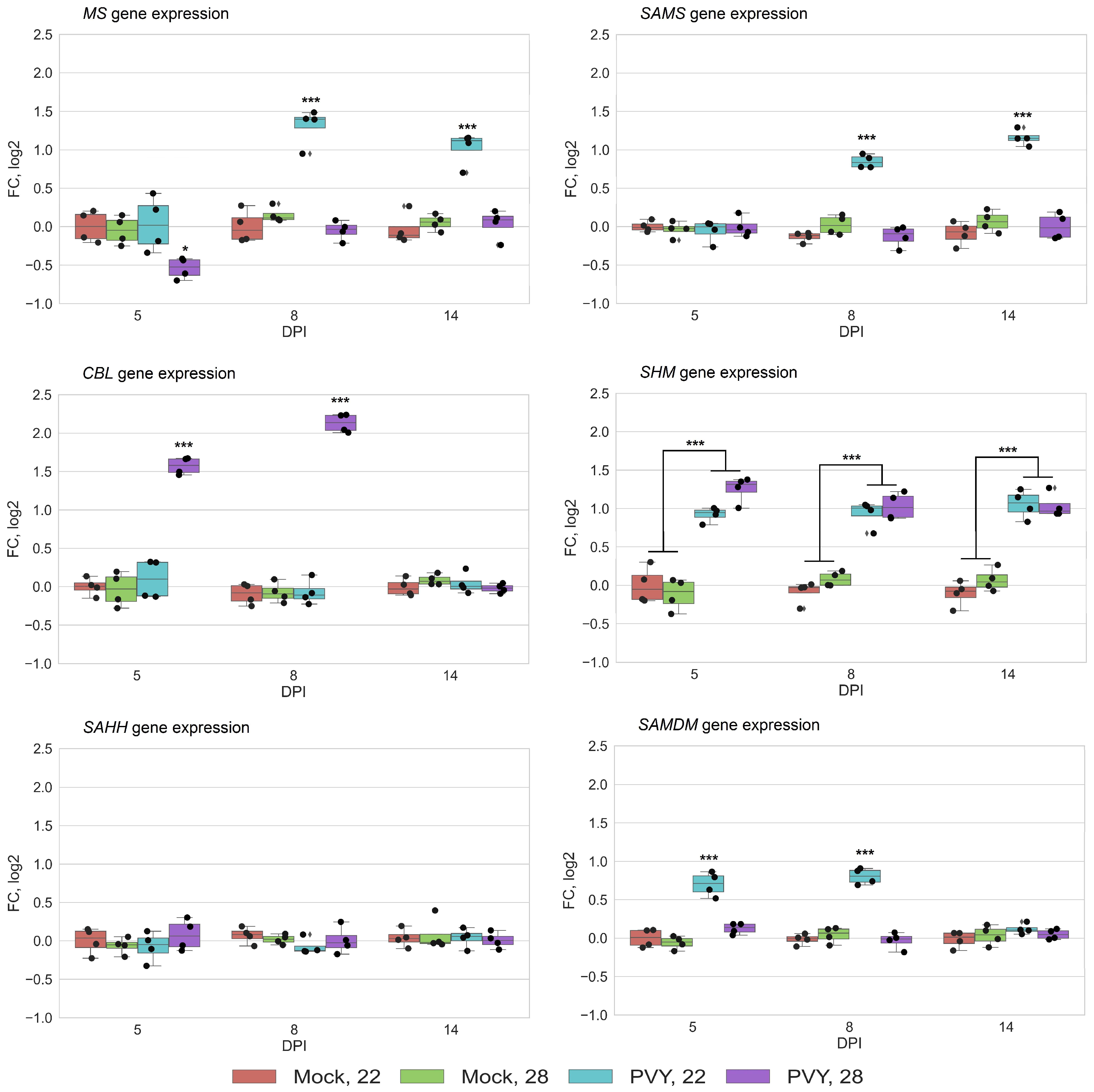 Viruses 13 00955 g003