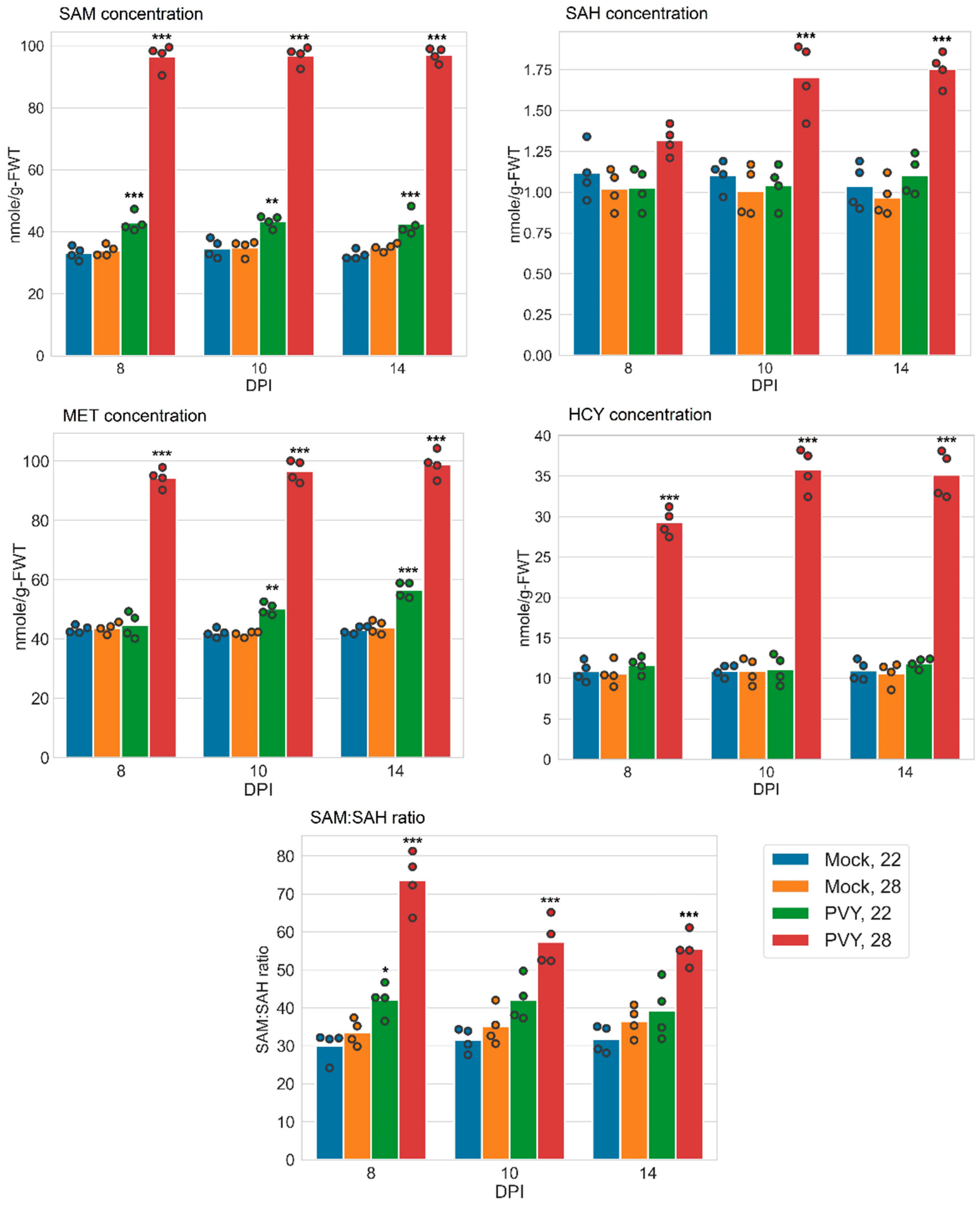 Viruses 13 00955 g004