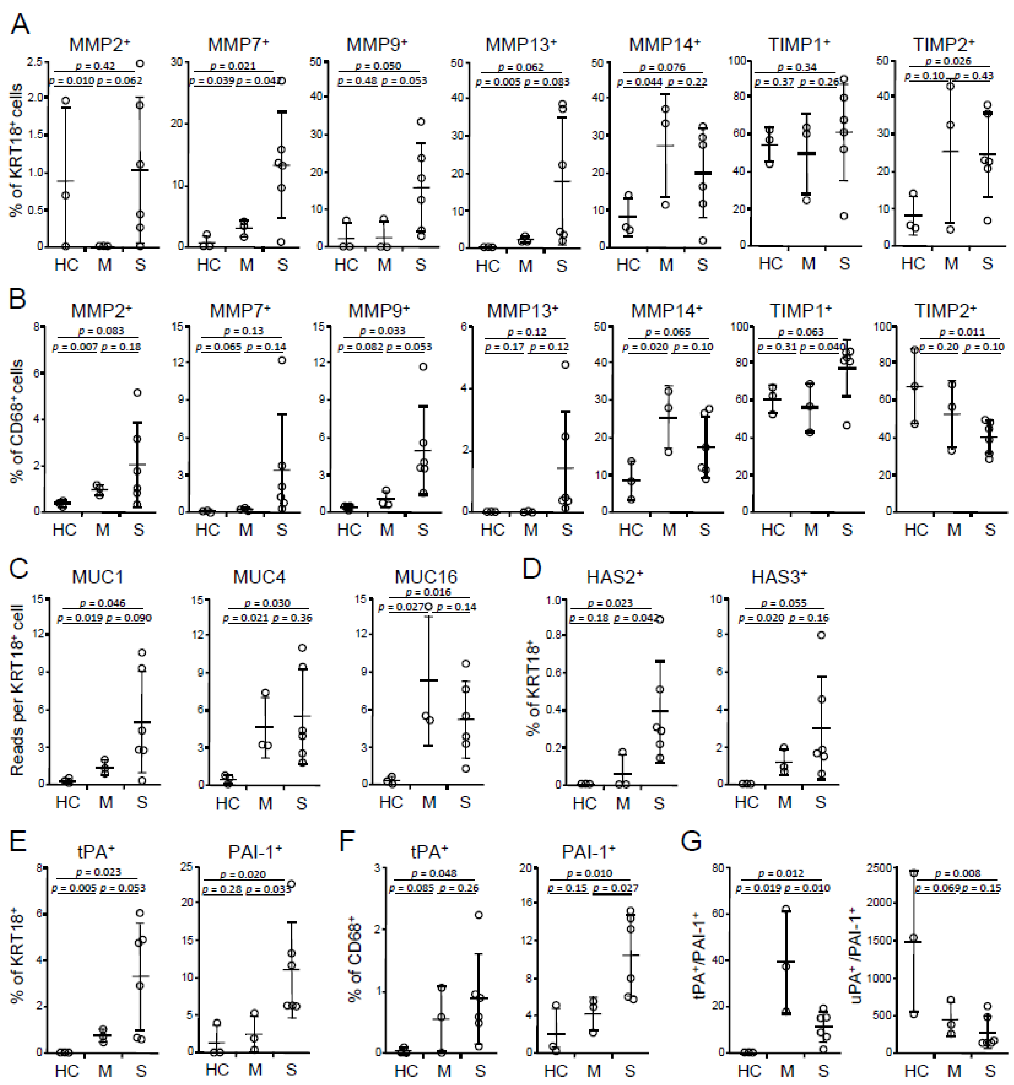 Viruses 13 00957 g002