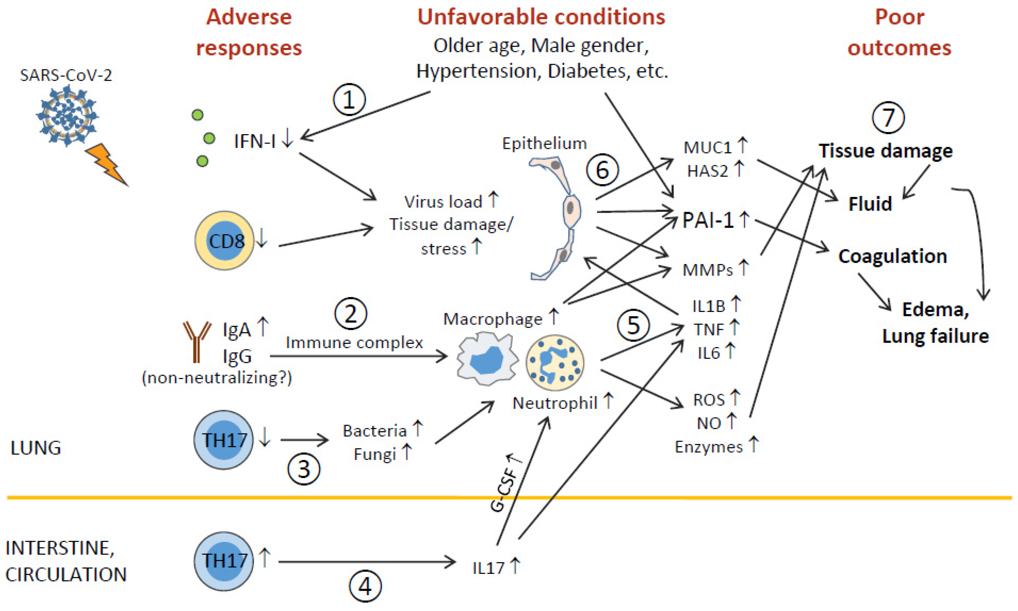 Viruses 13 00957 g003