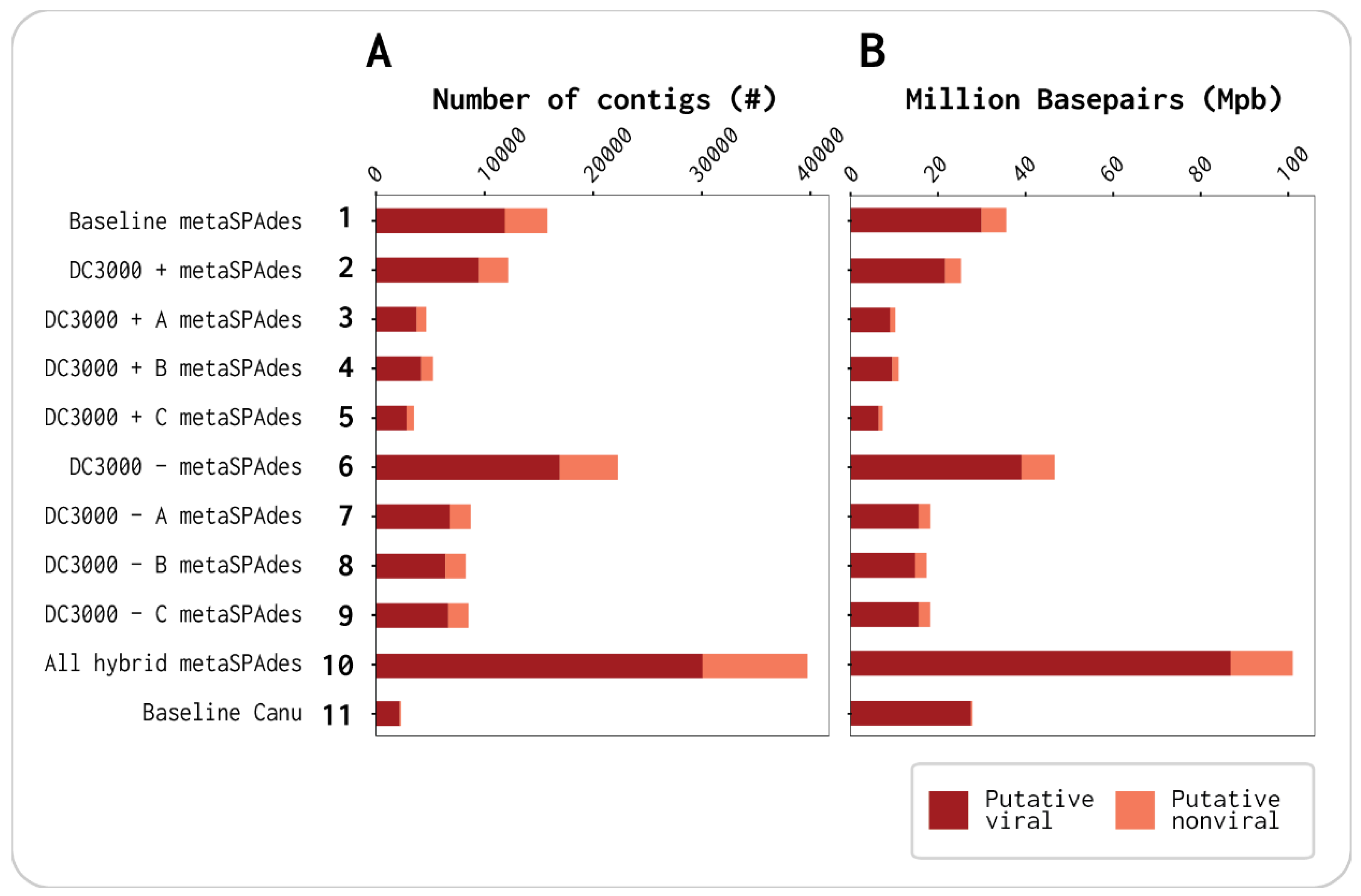 Viruses 13 00959 g001