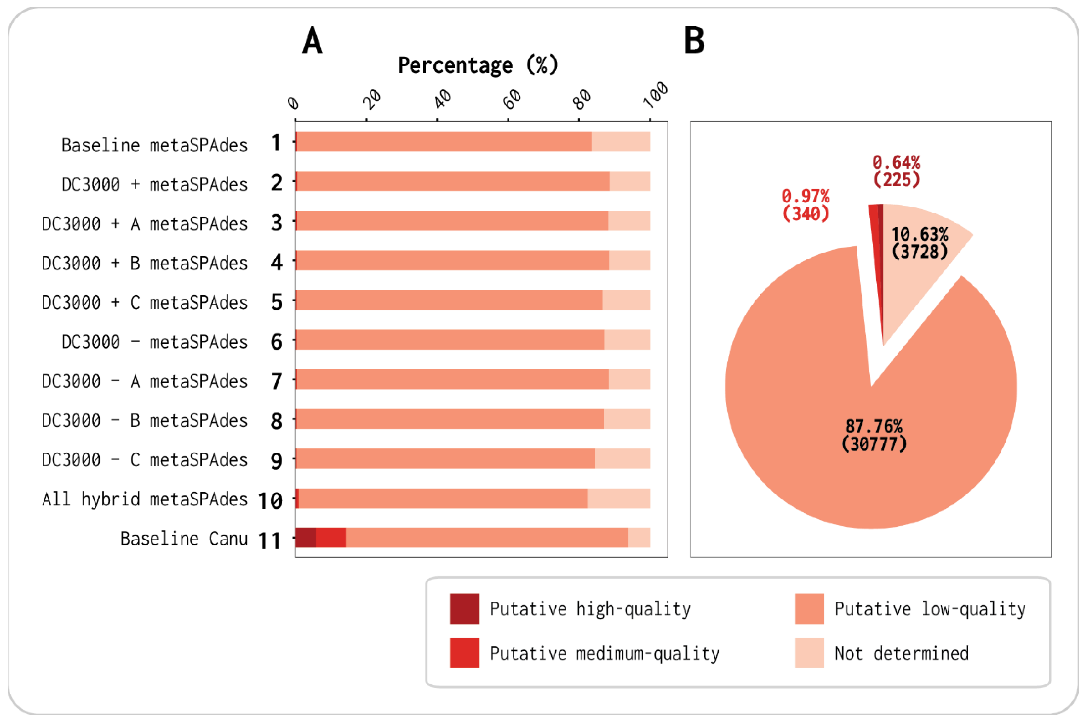 Viruses 13 00959 g002