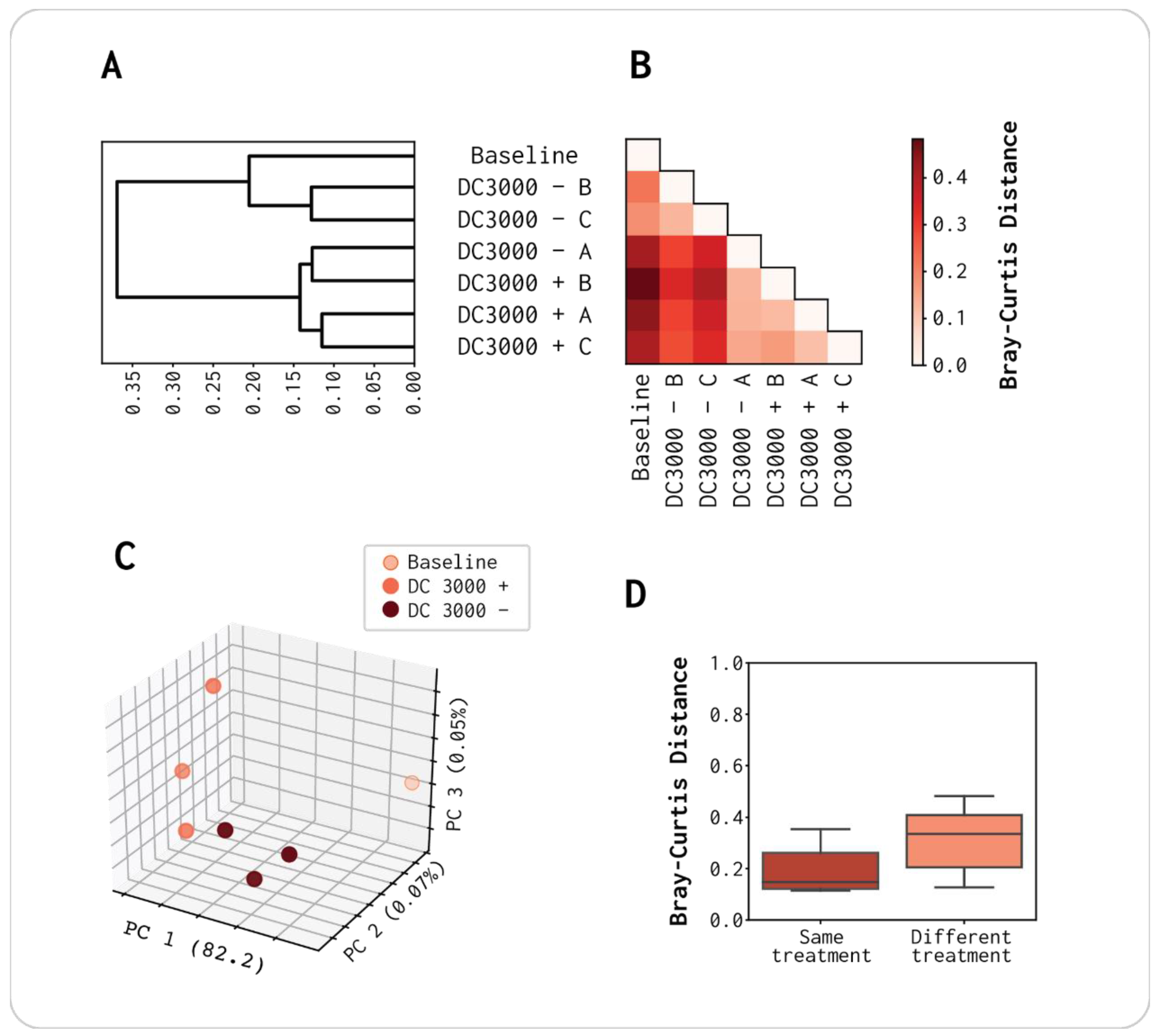 Viruses 13 00959 g003