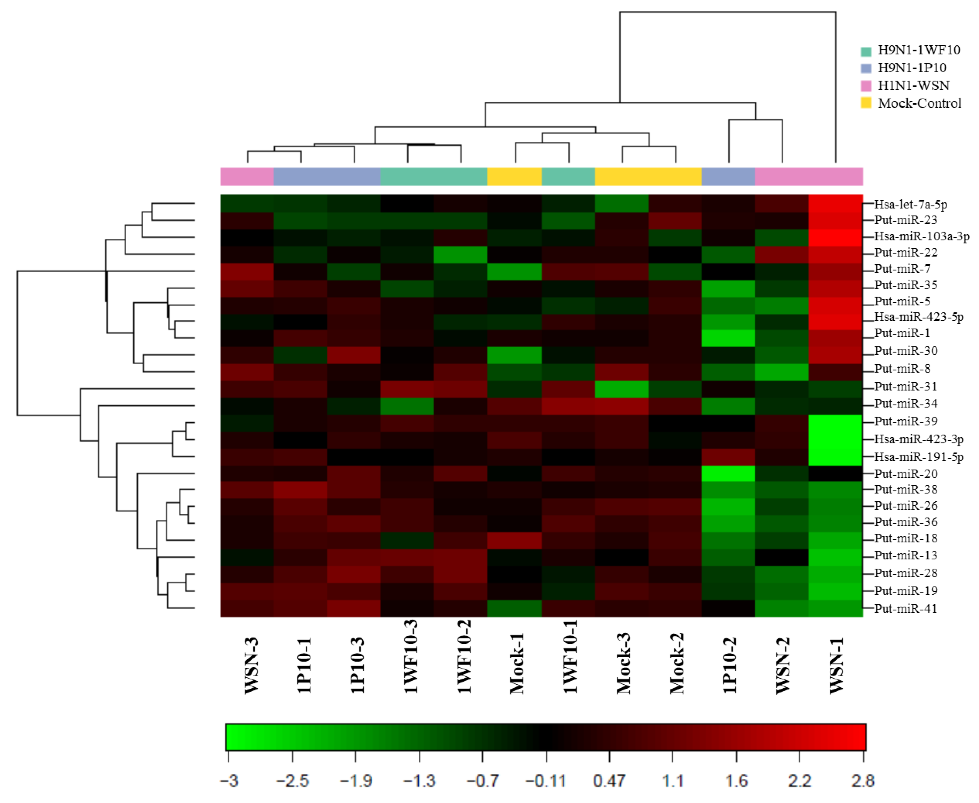 Viruses 13 00967 g001
