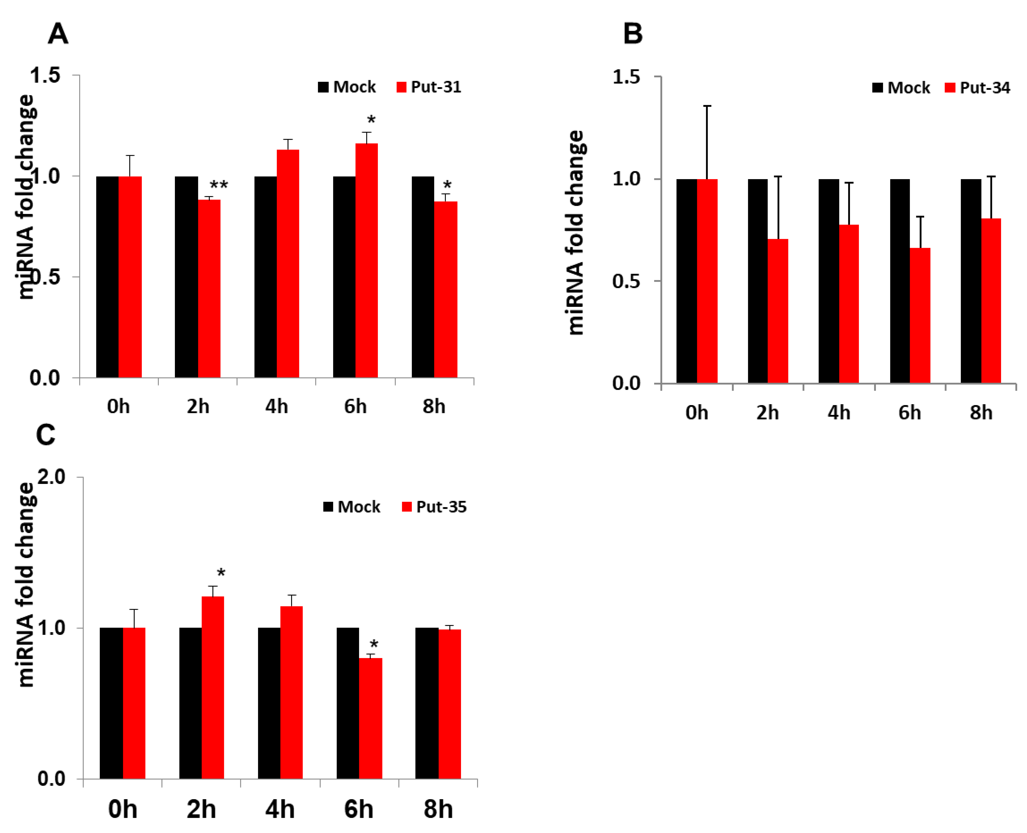Viruses 13 00967 g002