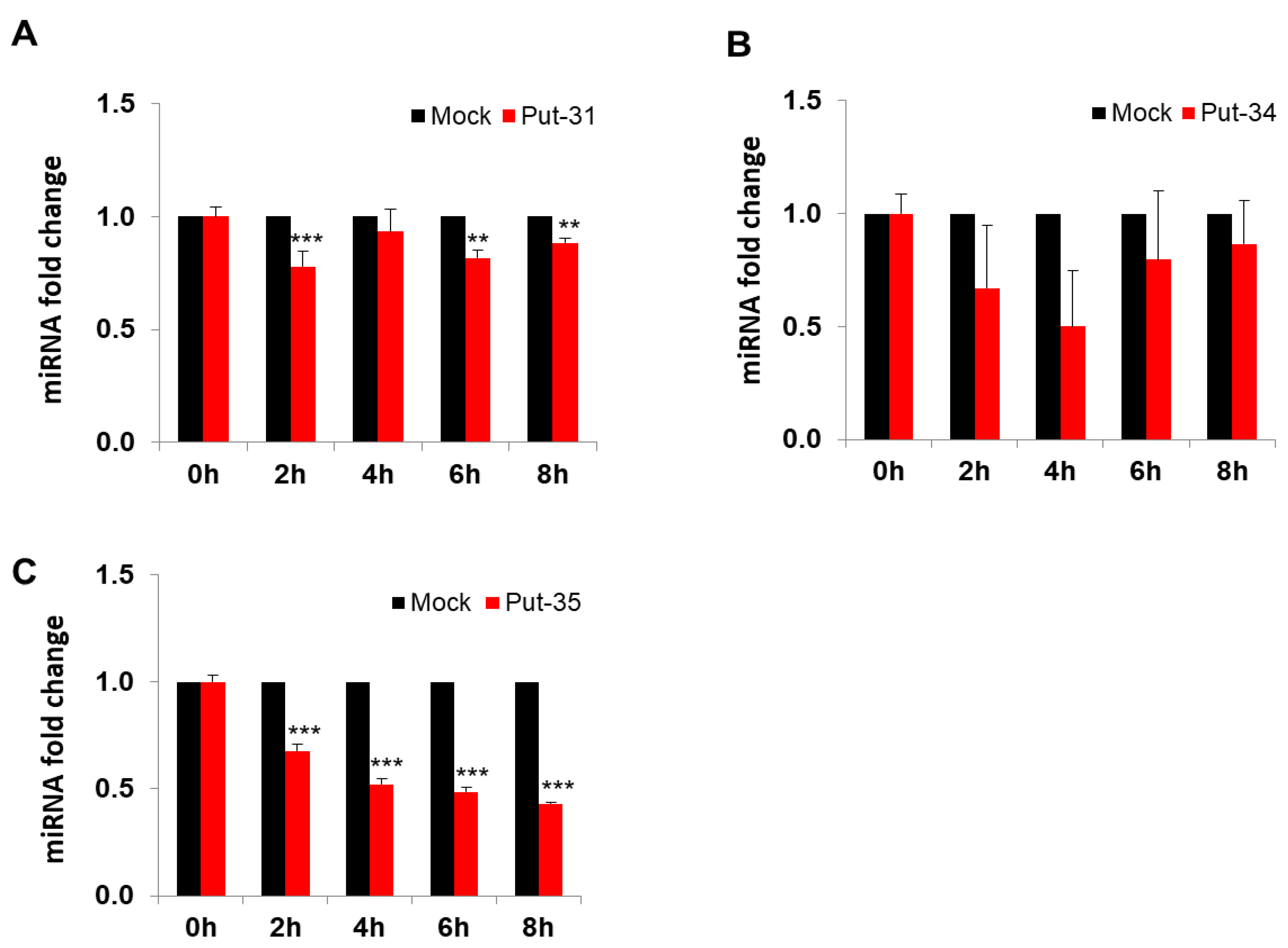 Viruses 13 00967 g003