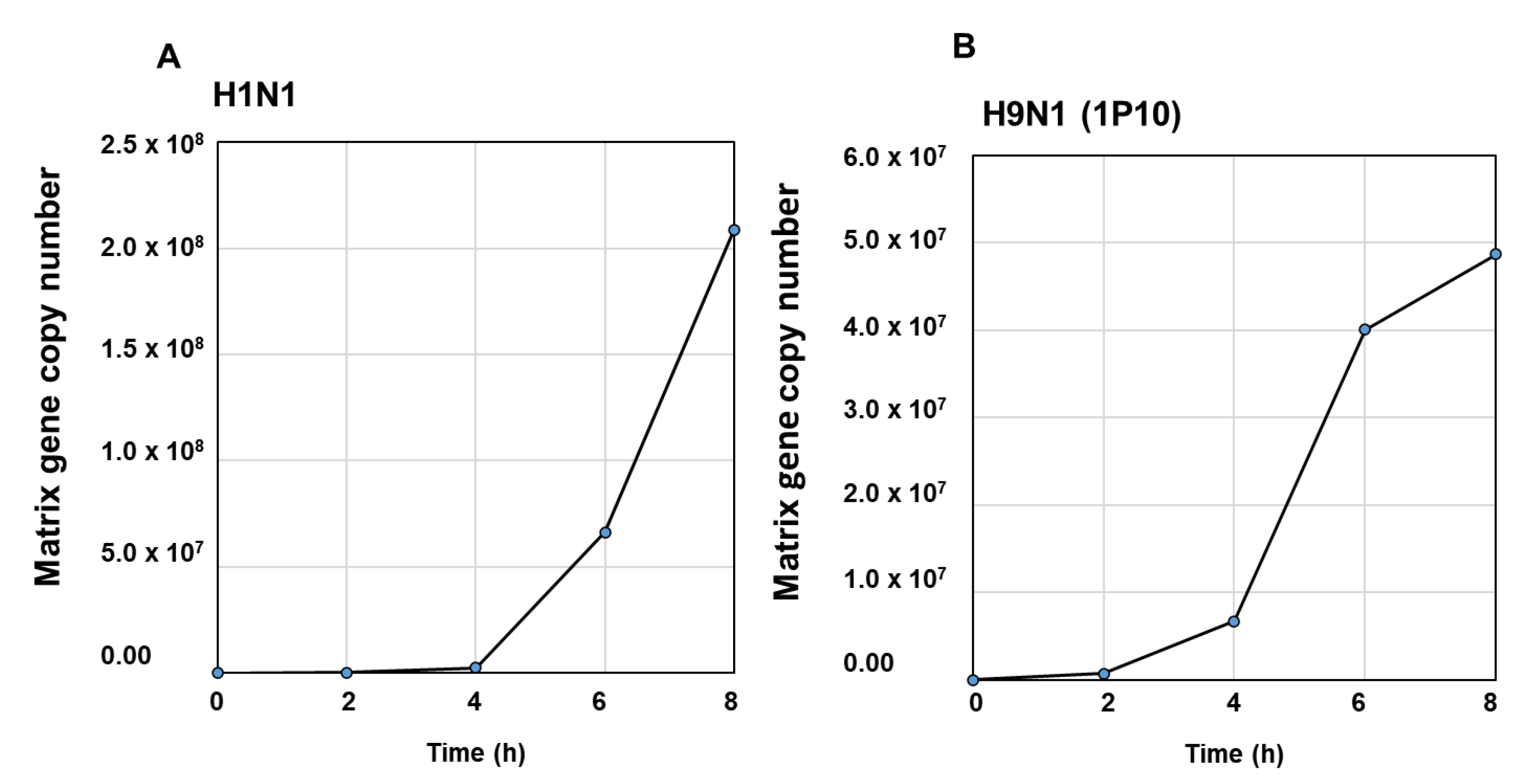 Viruses 13 00967 g004