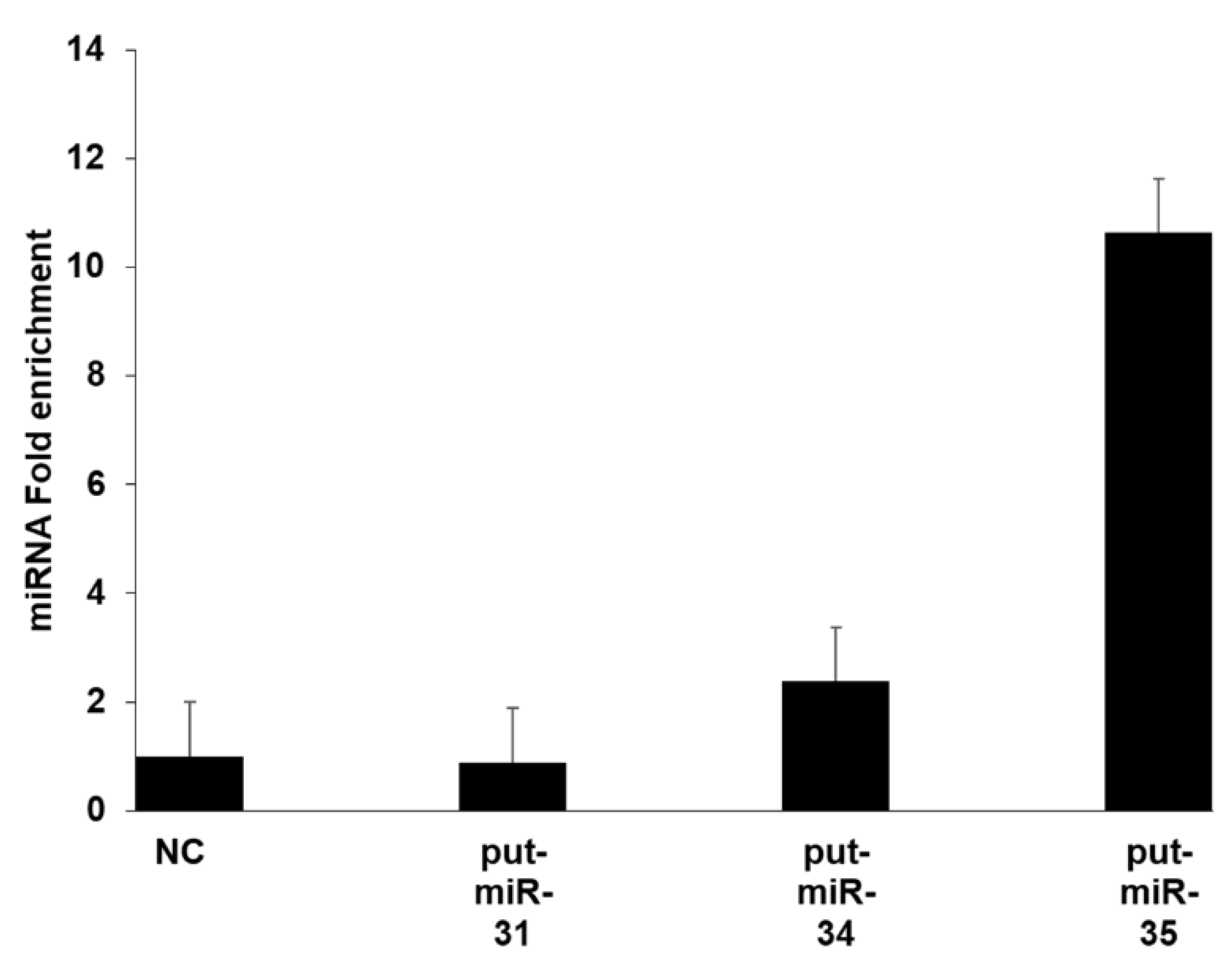 Viruses 13 00967 g005