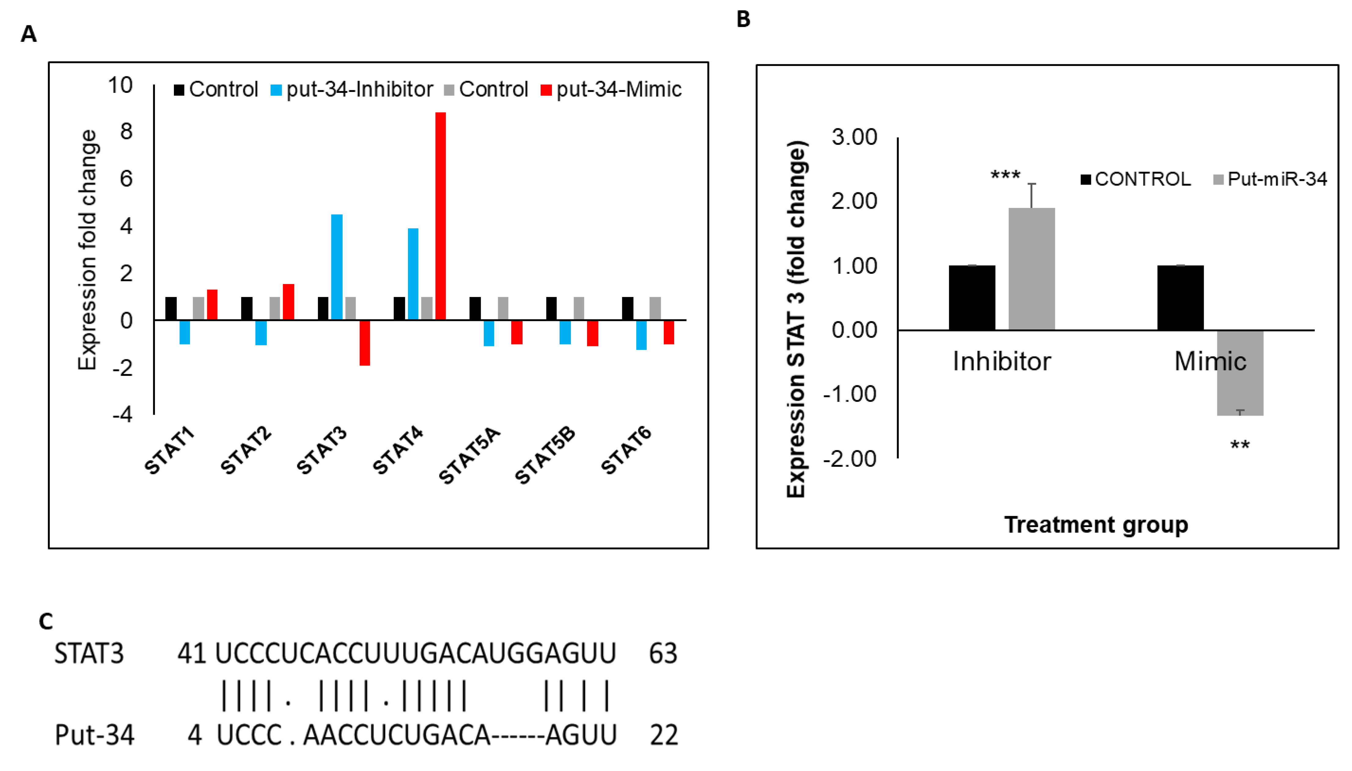 Viruses 13 00967 g006