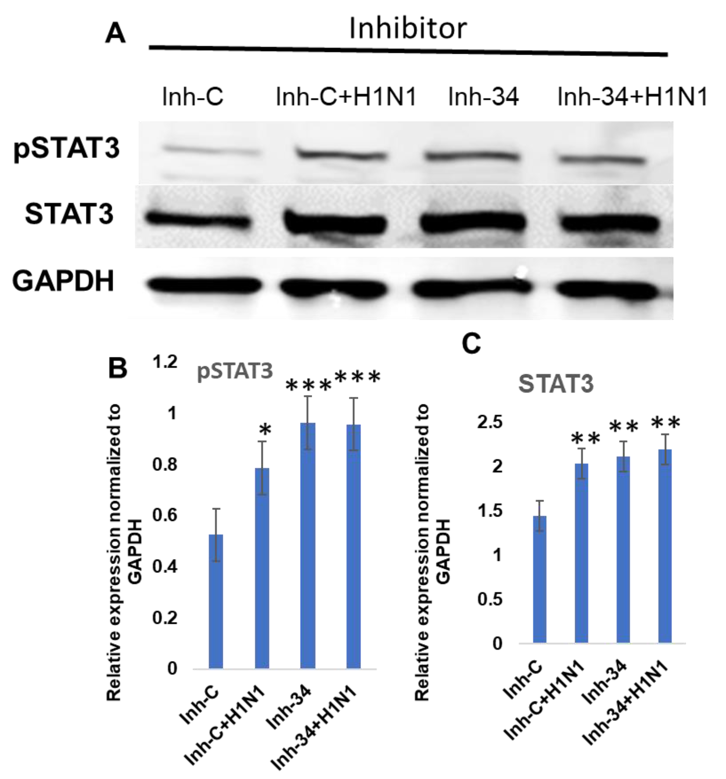Viruses 13 00967 g007
