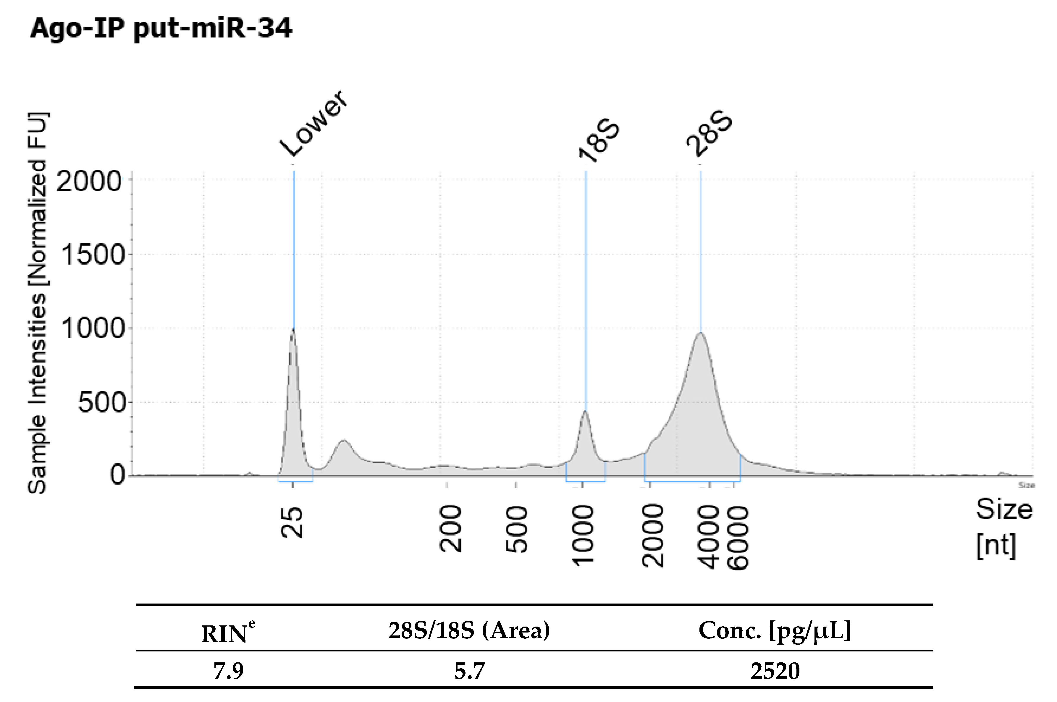 Viruses 13 00967 g009