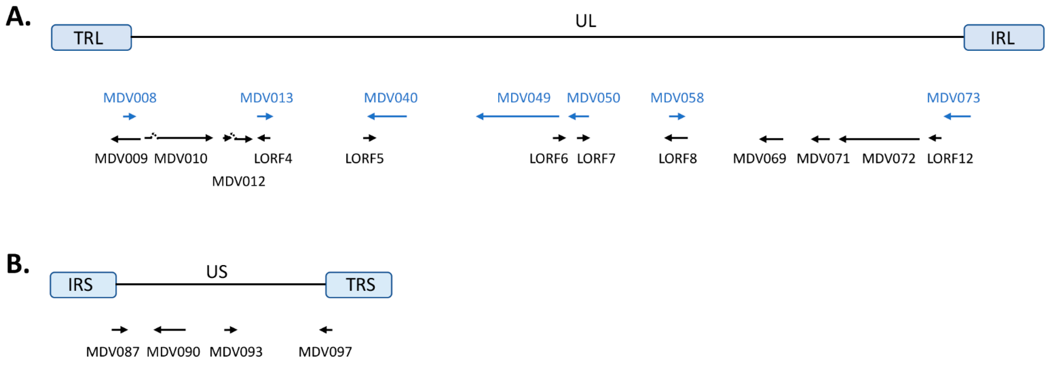Viruses 13 00974 g001
