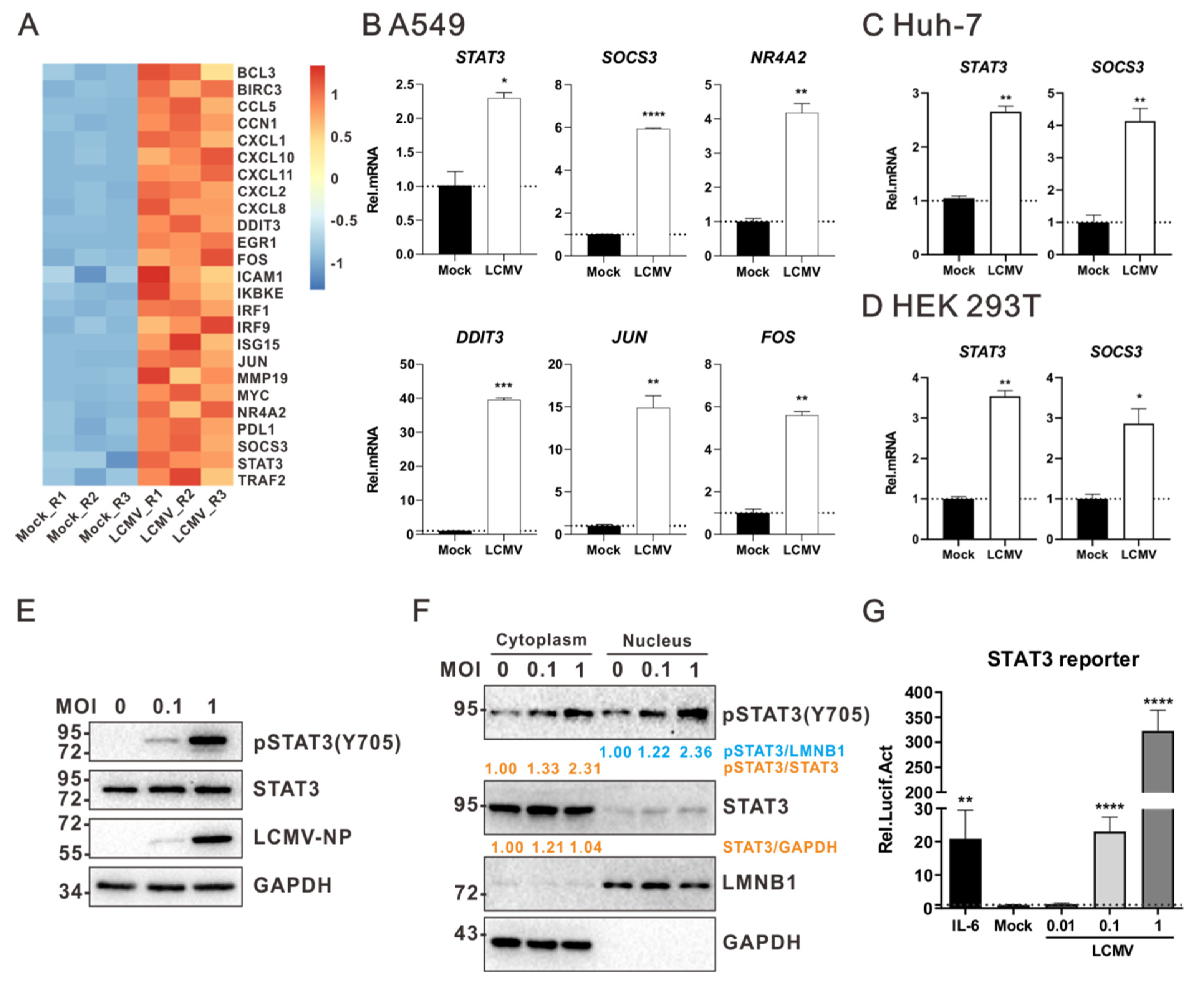 Viruses 13 00976 g001