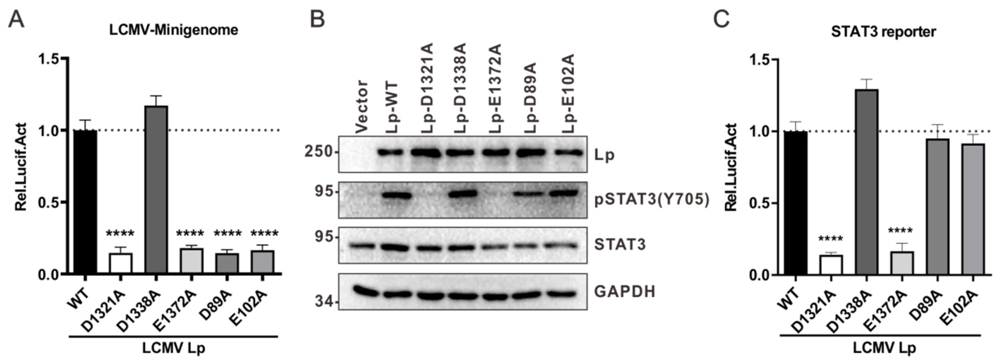 Viruses 13 00976 g004