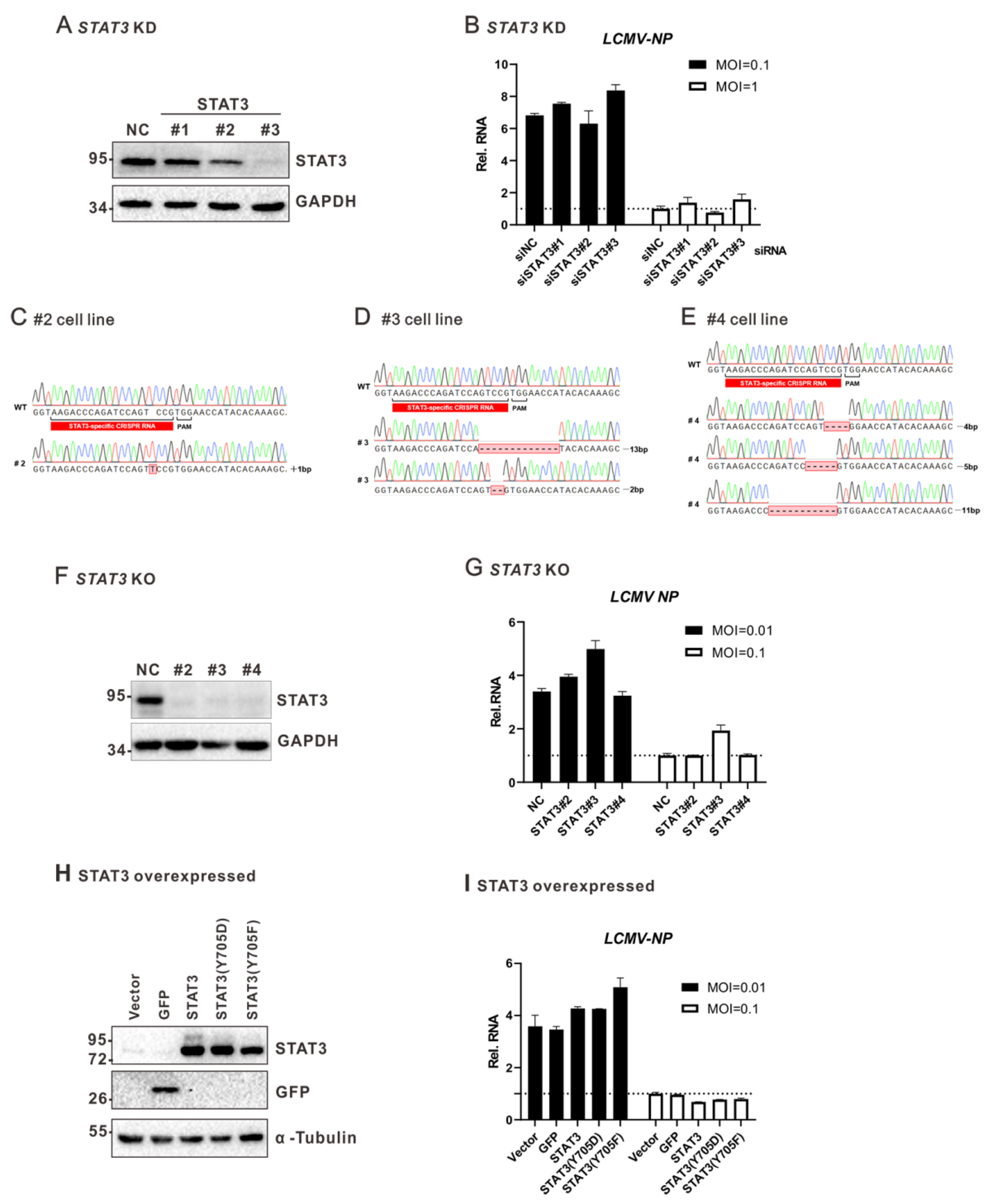 Viruses 13 00976 g006