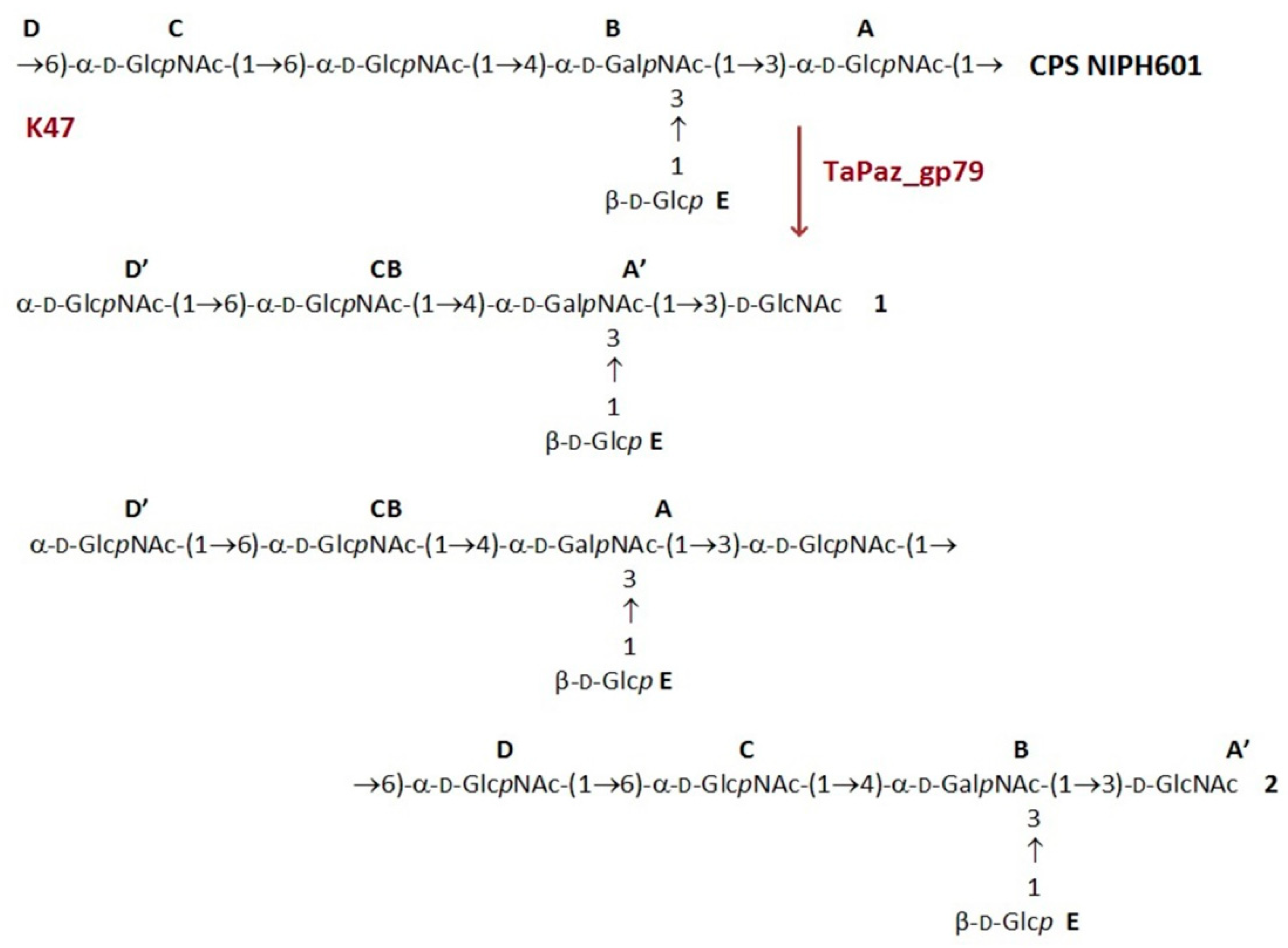 Viruses 13 00978 g006
