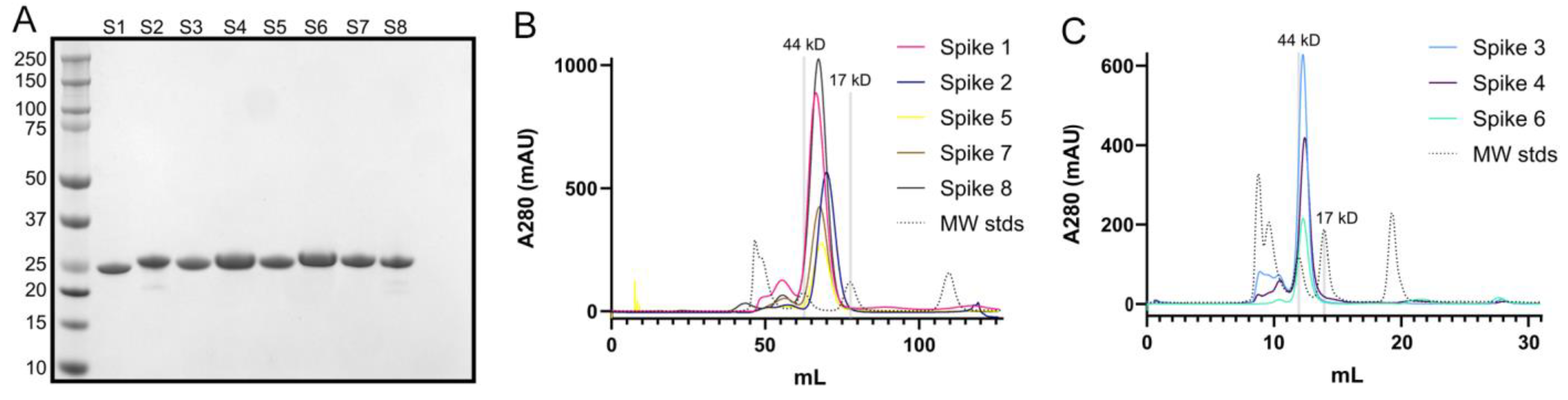 Viruses 13 00979 g002