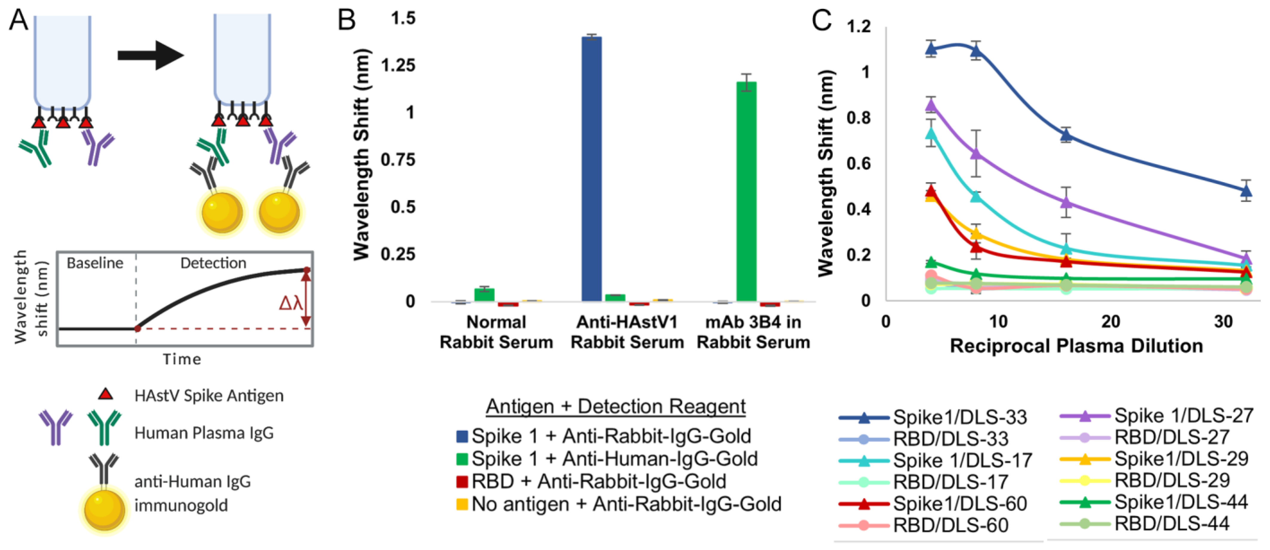 Viruses 13 00979 g003
