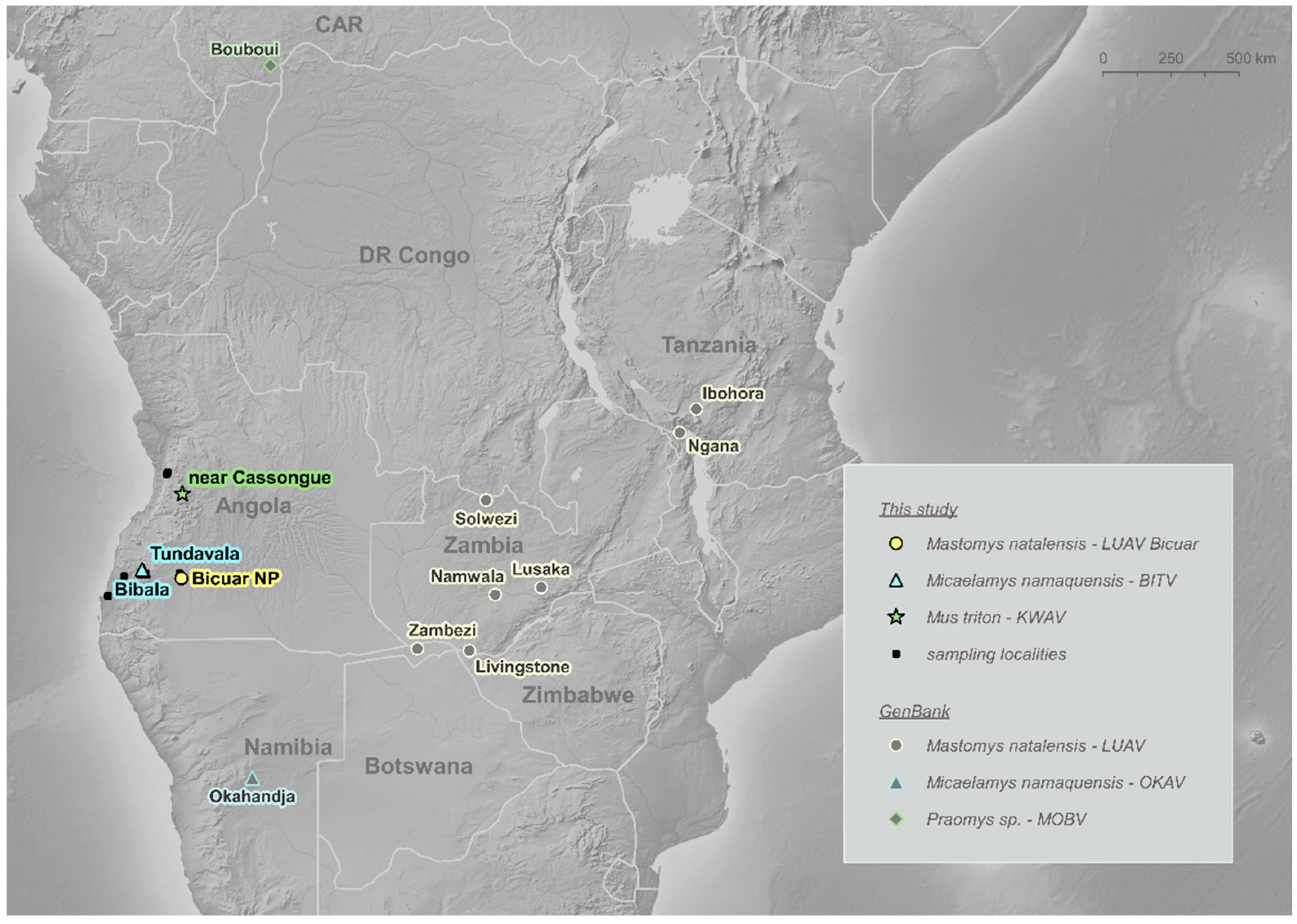 Viruses 13 00982 g001