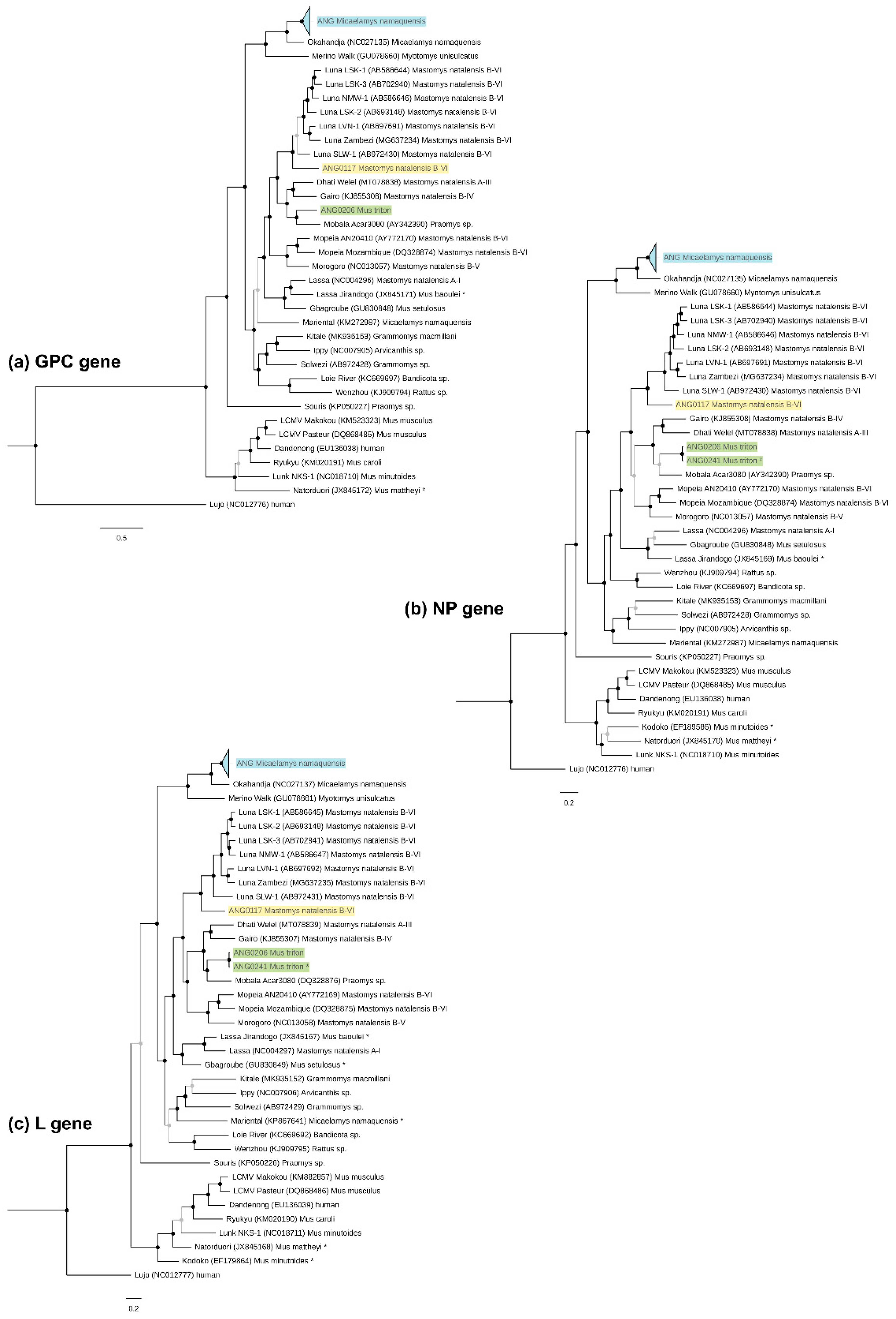 Viruses 13 00982 g002