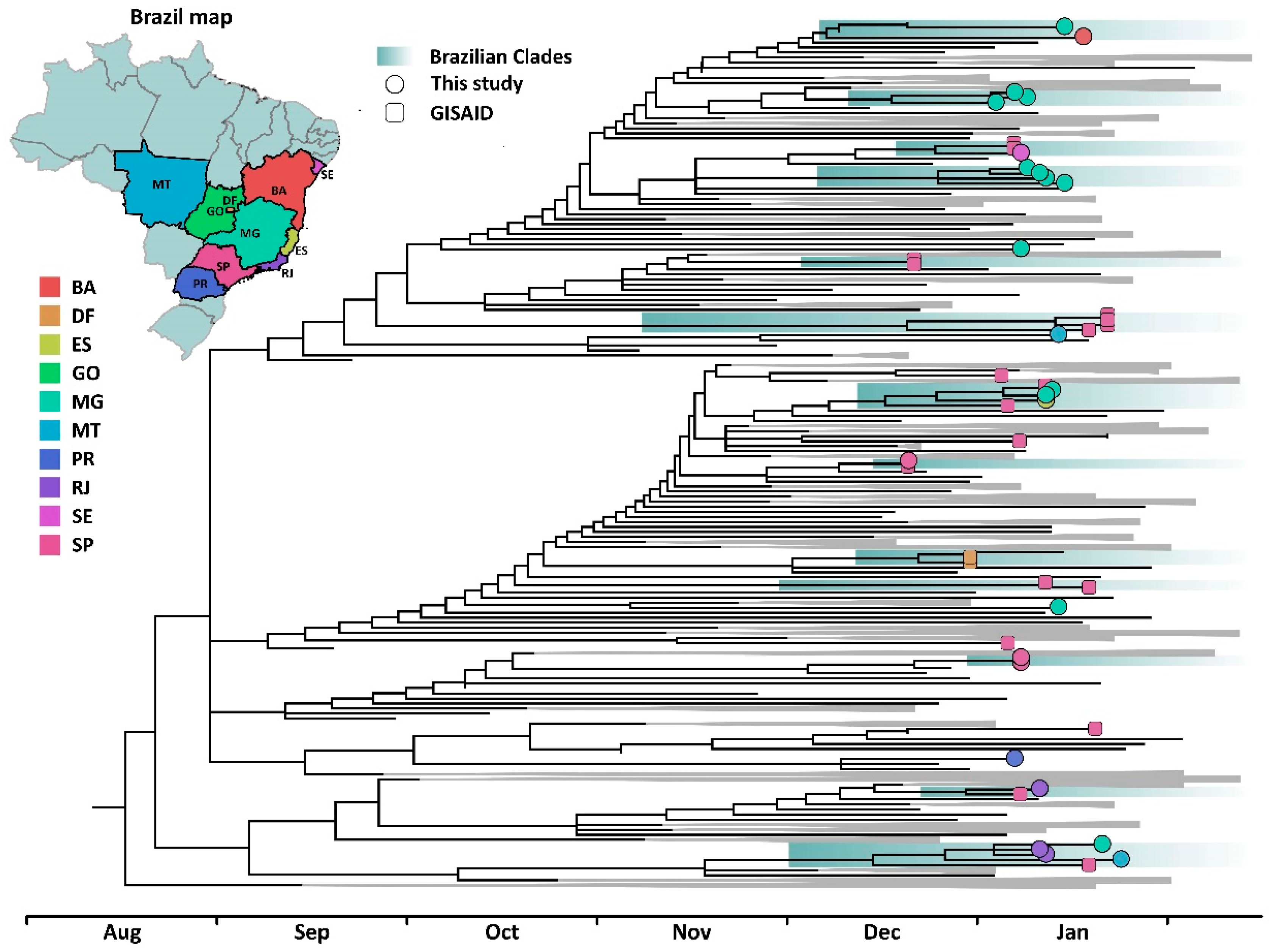 Viruses 13 00984 g001