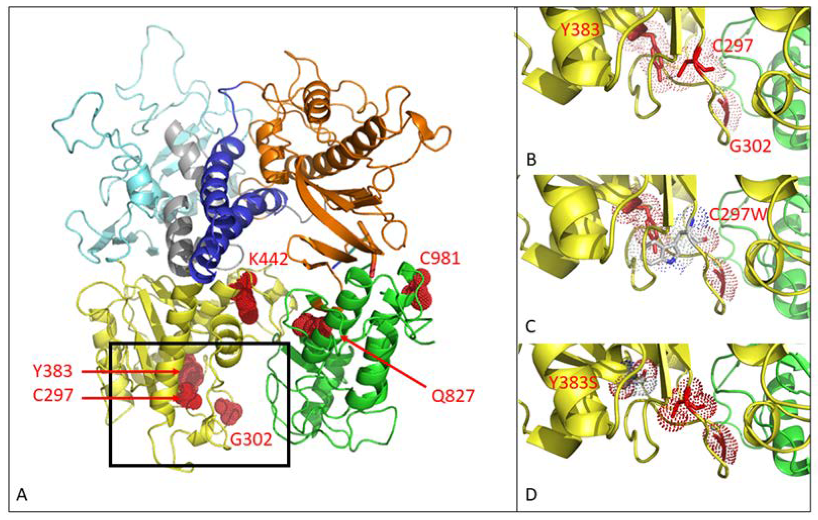 Viruses 13 00985 g001
