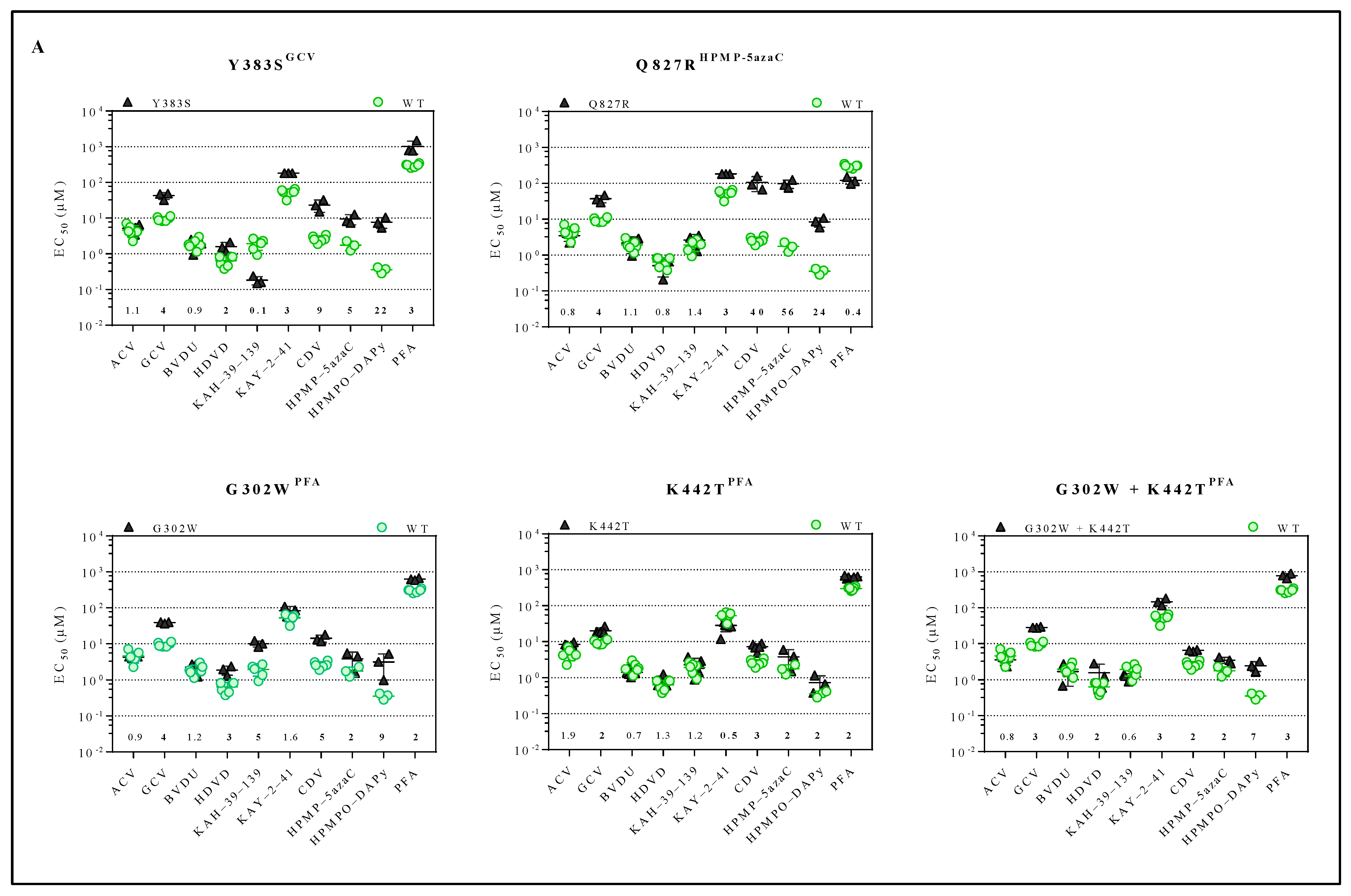 Viruses 13 00985 g002a
